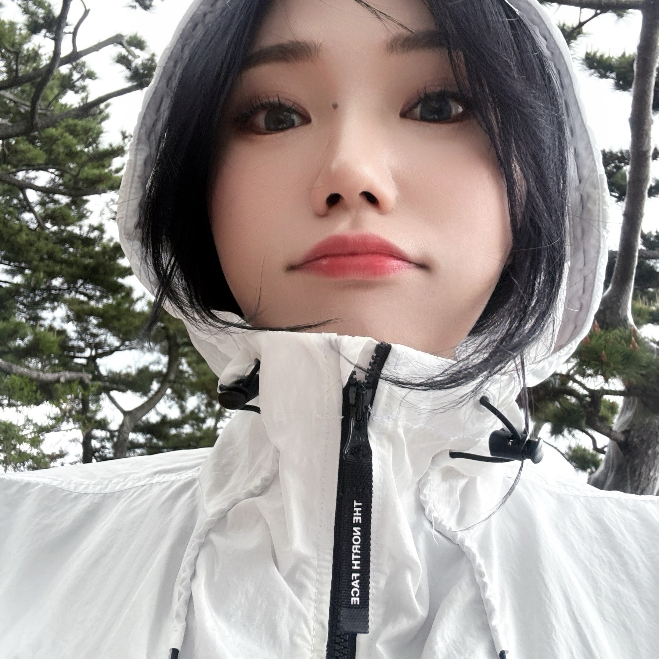The North Face Sheldon Jacket White - 25SS 착용 스타일 - 3