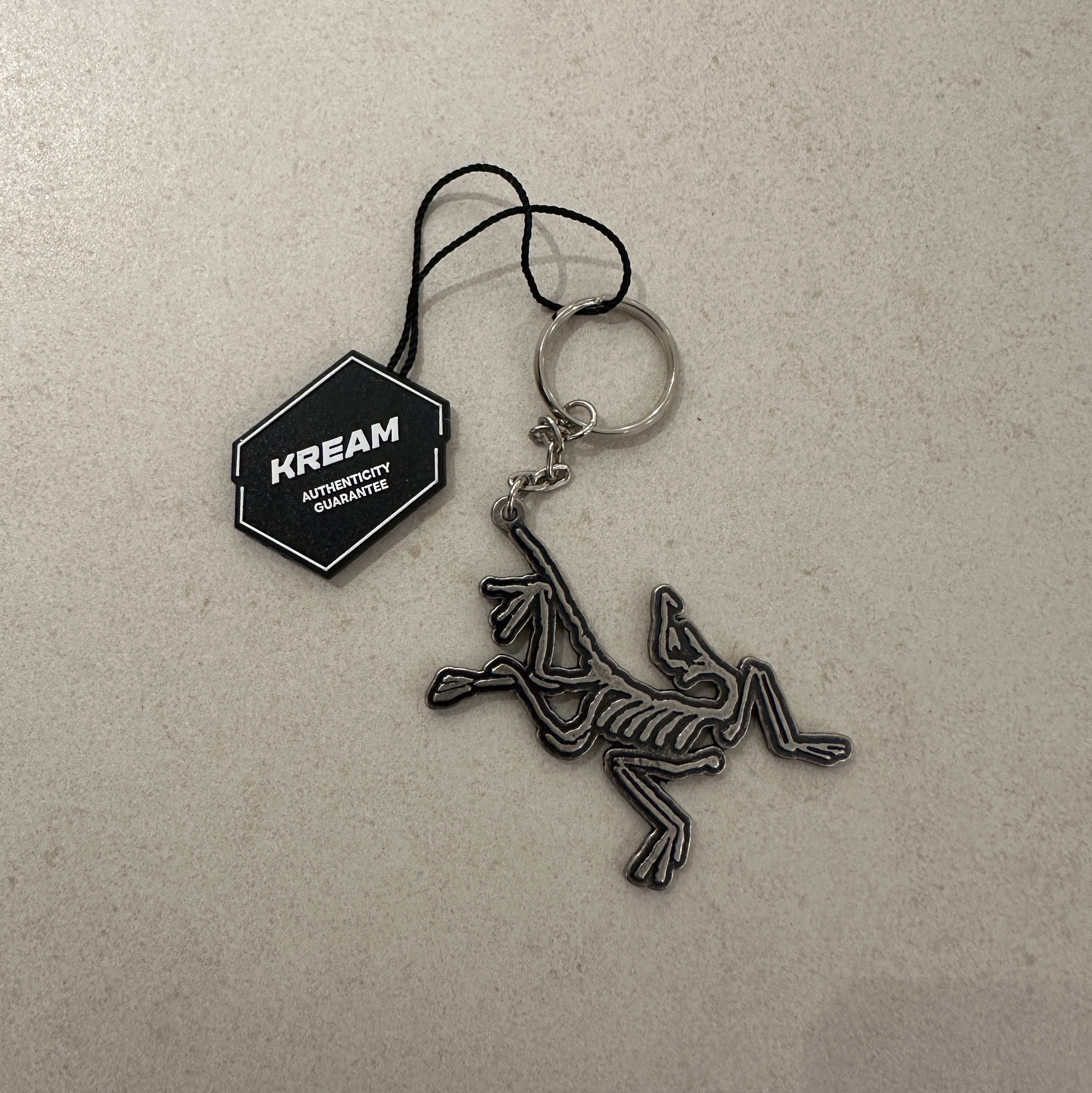Arc'teryx Keyring Metal 착용 스타일