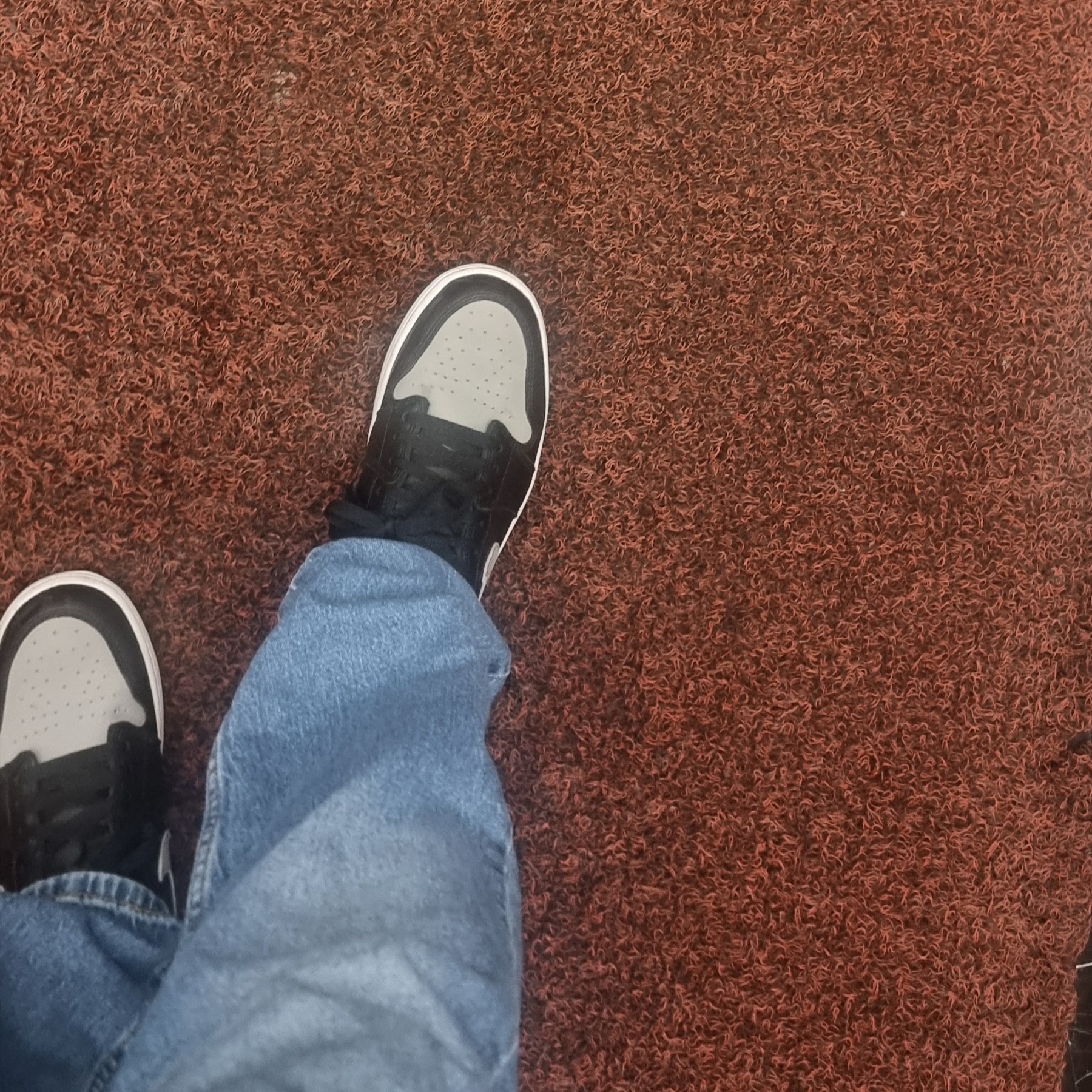 Jordan 1 Retro Low OG Shadow 착용 스타일