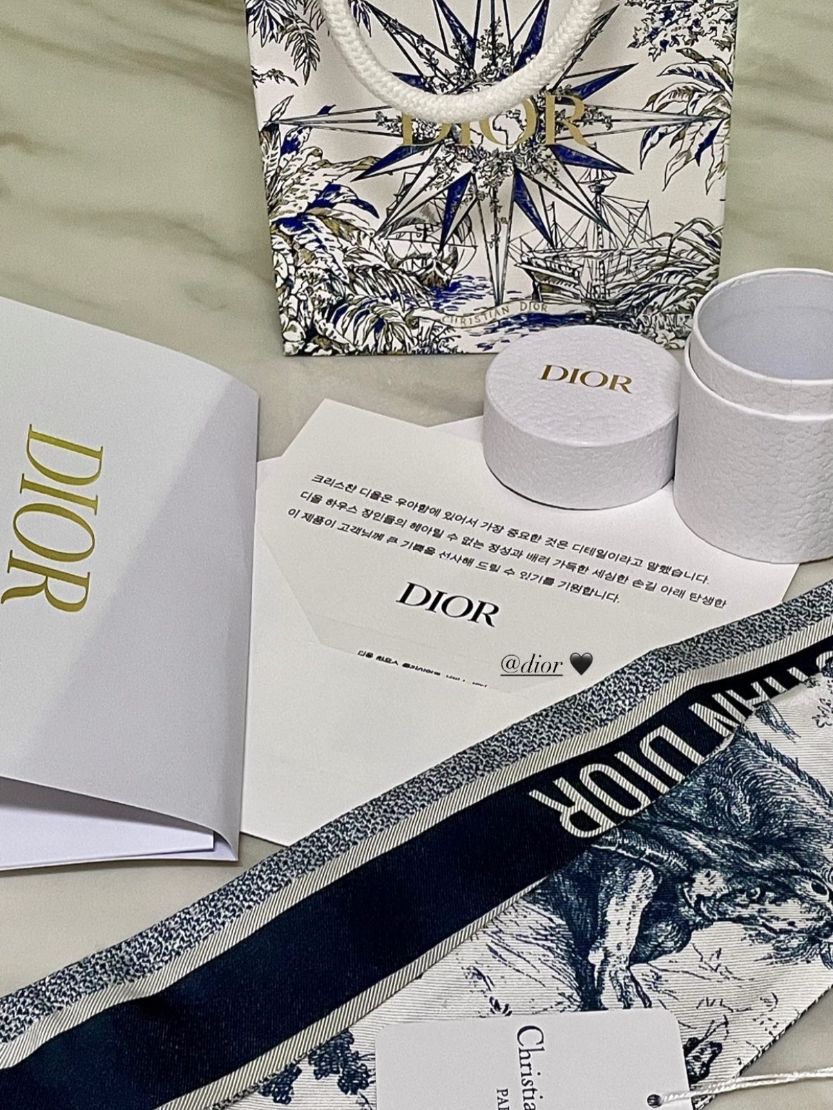 (W) Dior Toile de Jouy Sauvage Mitzah Scarf Silk Twill Ivory Navy Blue 착용 스타일 - 3