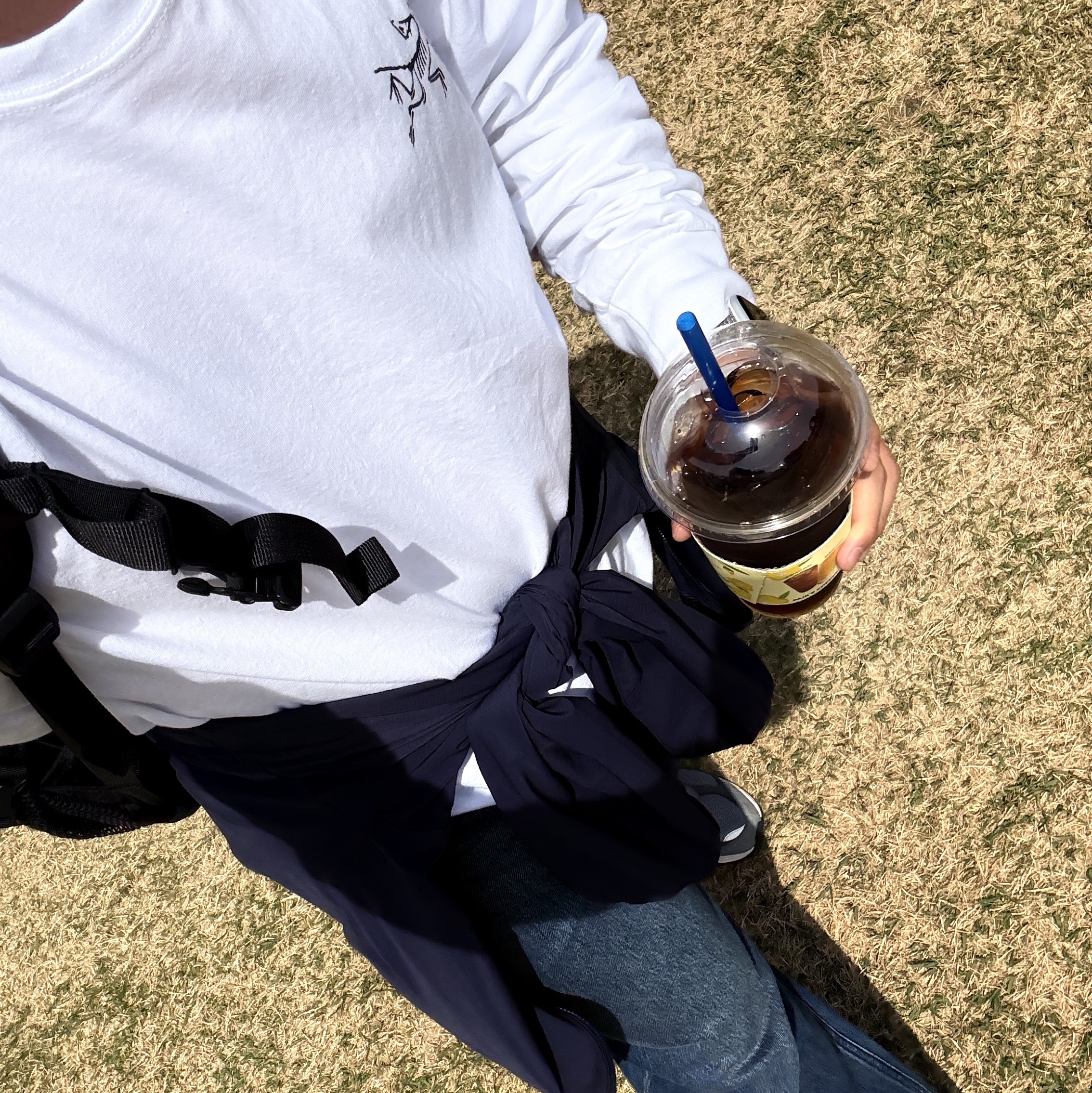 Arc'teryx Arc'Multi Bird Logo LS T-Shirt White Light, New Balance 2002R Premium Vintage Grey 착용 스타일 - 2