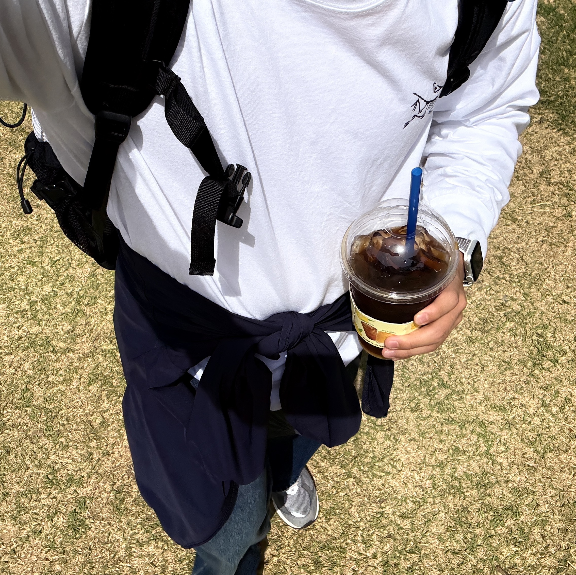 Arc'teryx Arc'Multi Bird Logo LS T-Shirt White Light, New Balance 2002R Premium Vintage Grey 착용 스타일 - 1