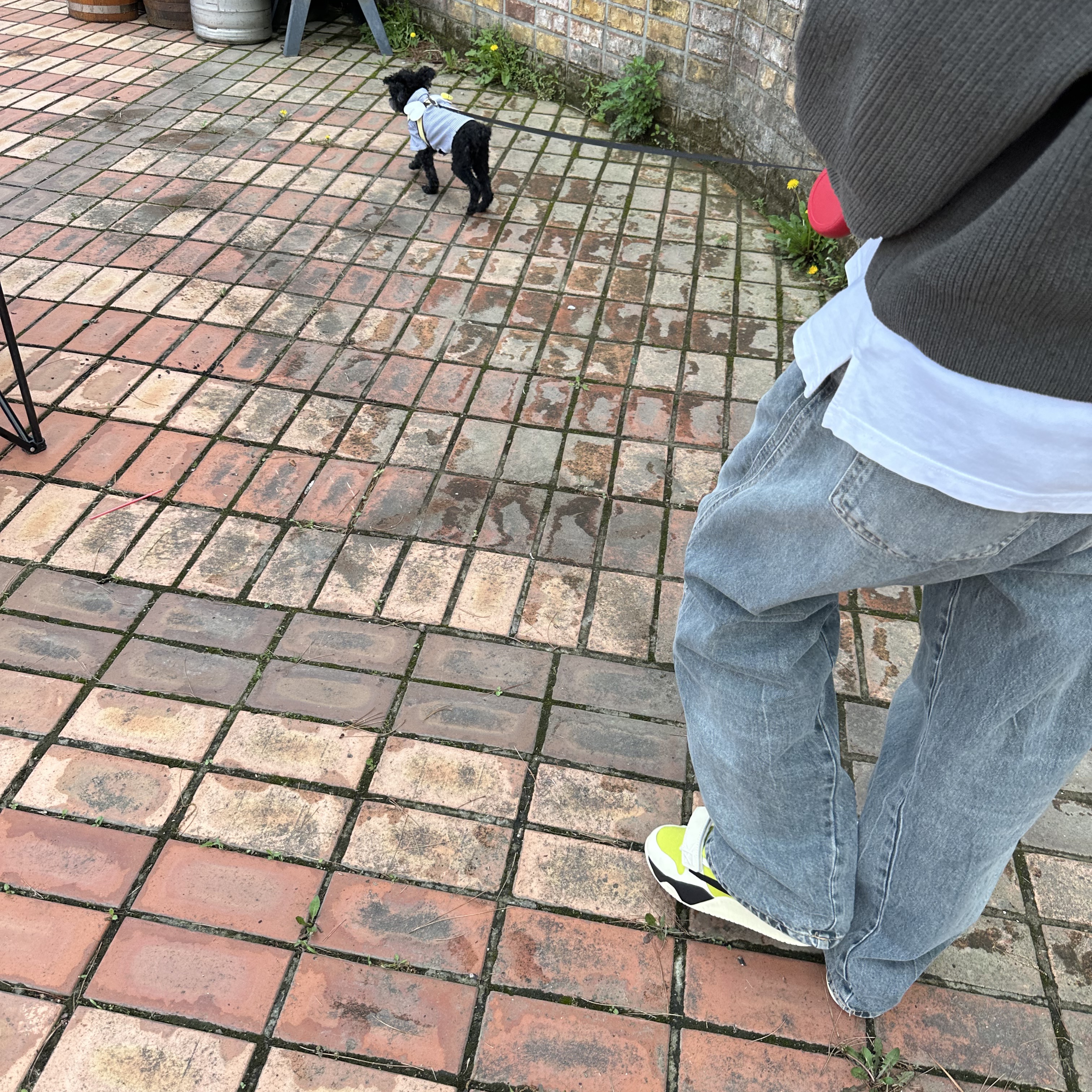 Jordan x Travis Scott Jumpman Jack TR Bright Cactus 착용 스타일 - 1