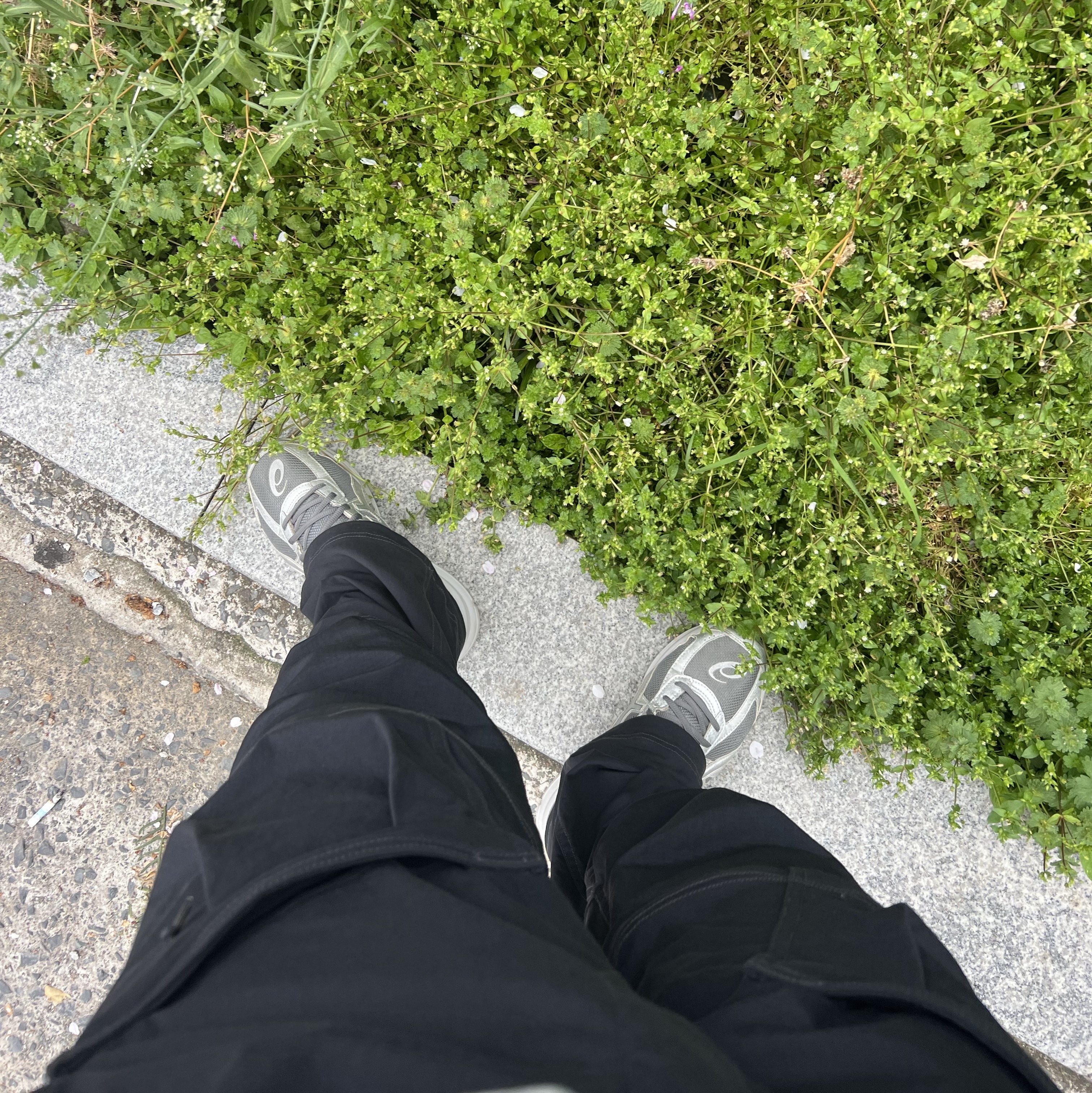 Asics Jog 100 S SMU Sheet Rock Pure Silver - 2E Wide, Nike ACG Smith Summit Cargo Pants Black - Asia 착용 스타일