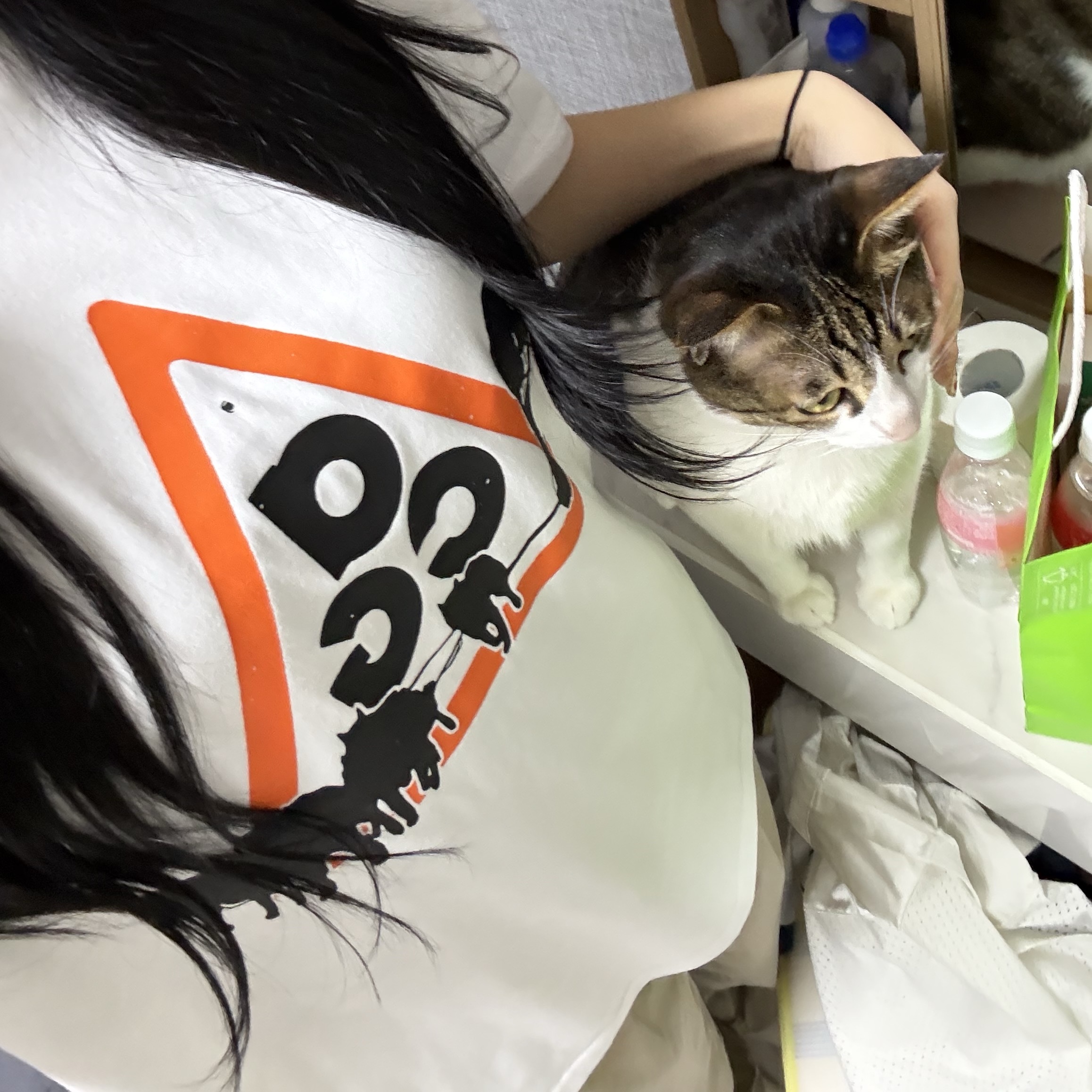 Nike ACG Dri-Fit Dog Sled T-Shirt Summit White - Asia 착용 스타일