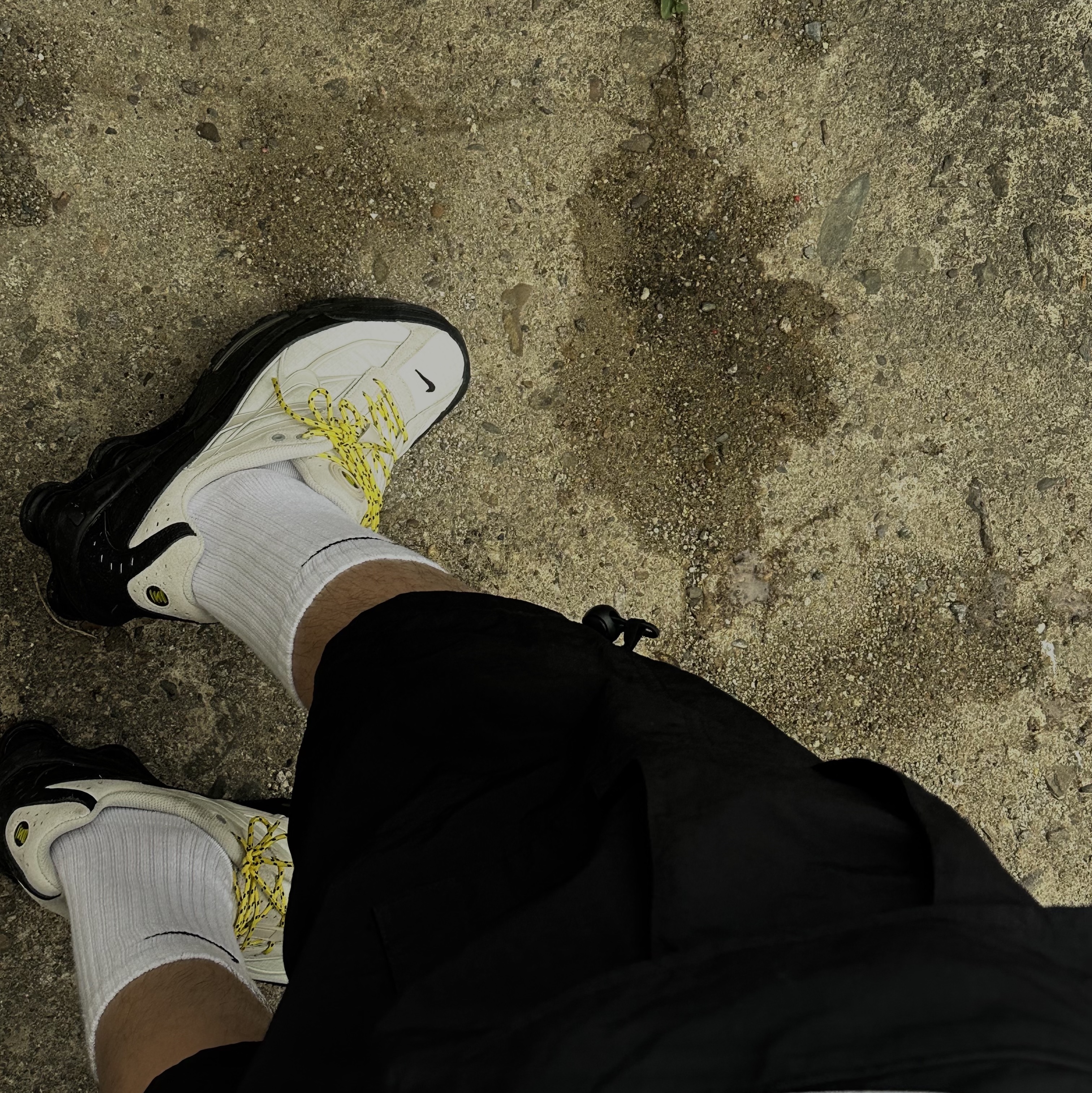 Nike Shox Ride 2 Black and Phantom 착용 스타일