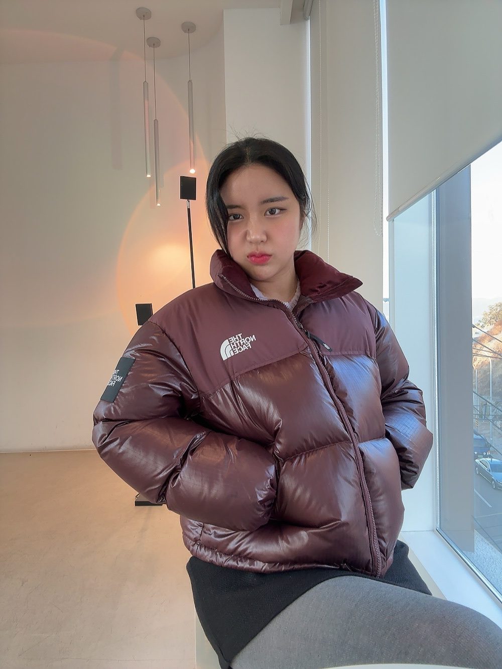 (W) The North Face White Label Novelty Nuptse Down Jacket Cocoa Brown 착용 스타일 - 1