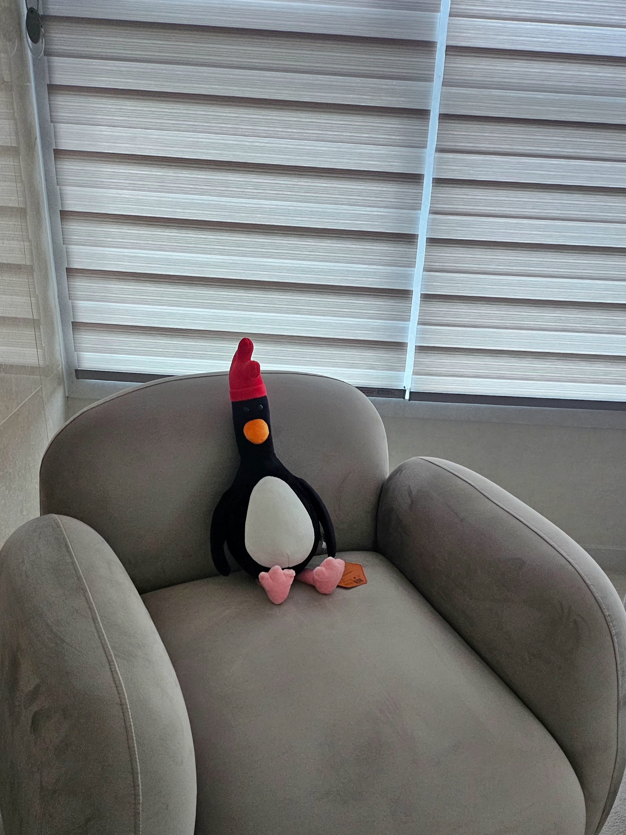 Dream C&C Feathers Mcgraw Plush 40cm 착용 스타일