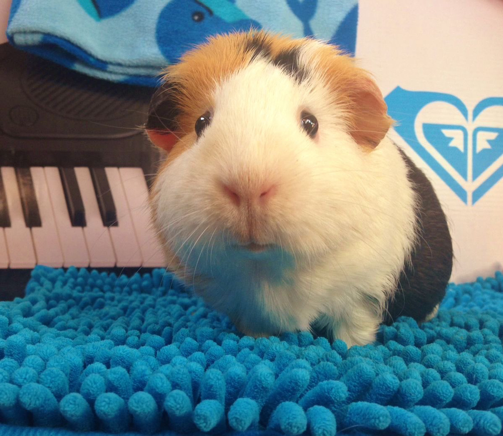 관심 유저 프로필 이미지