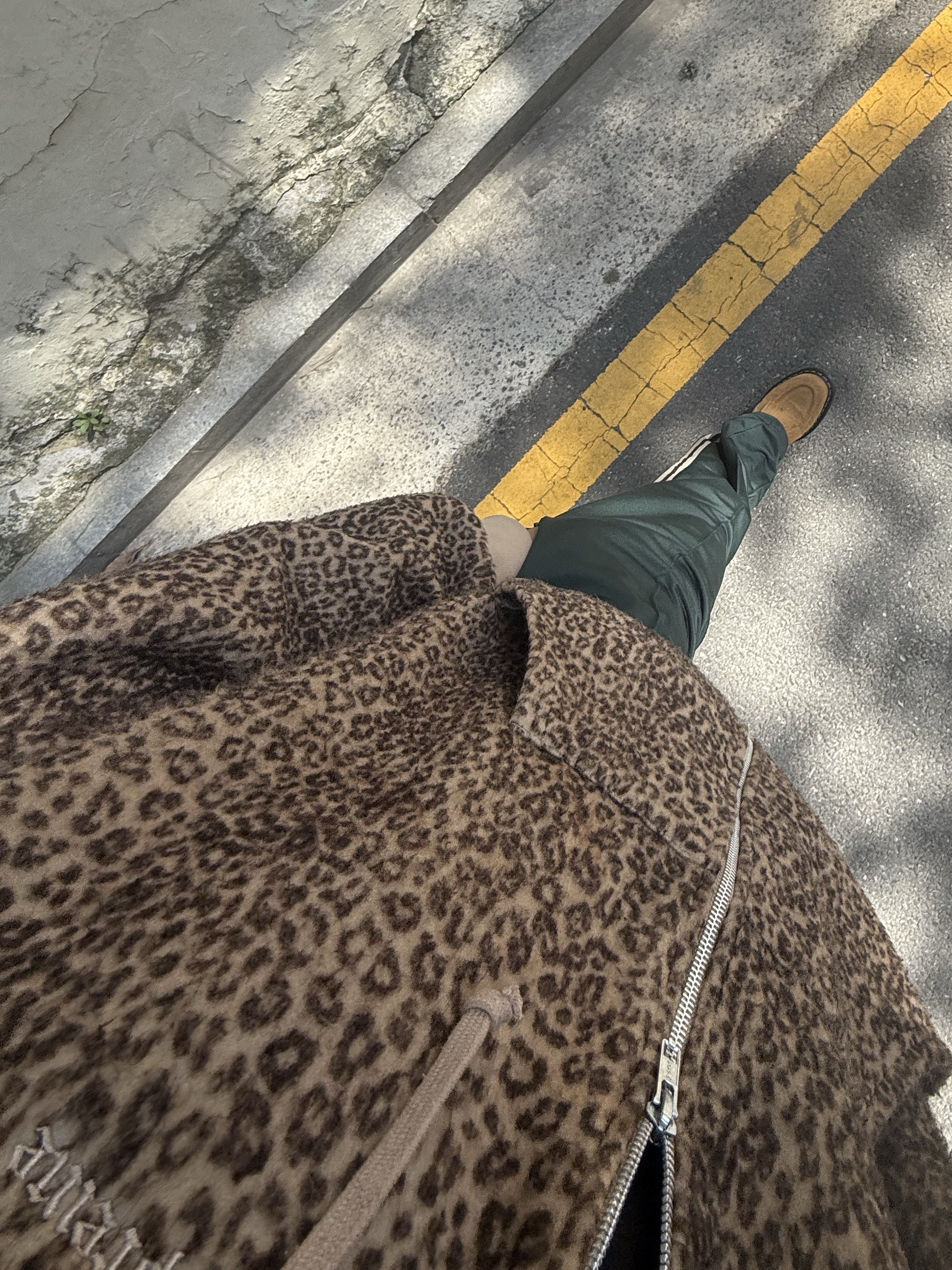 Supreme Pilled Zip Up Hooded Sweatshirt Cheetah - 24FW 착용 스타일 - 1