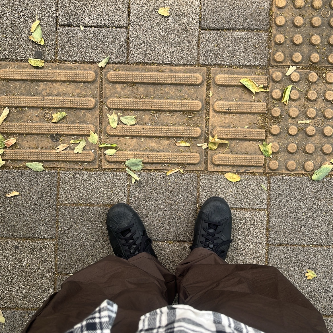 Adidas Superstar Triple Black 착용 스타일