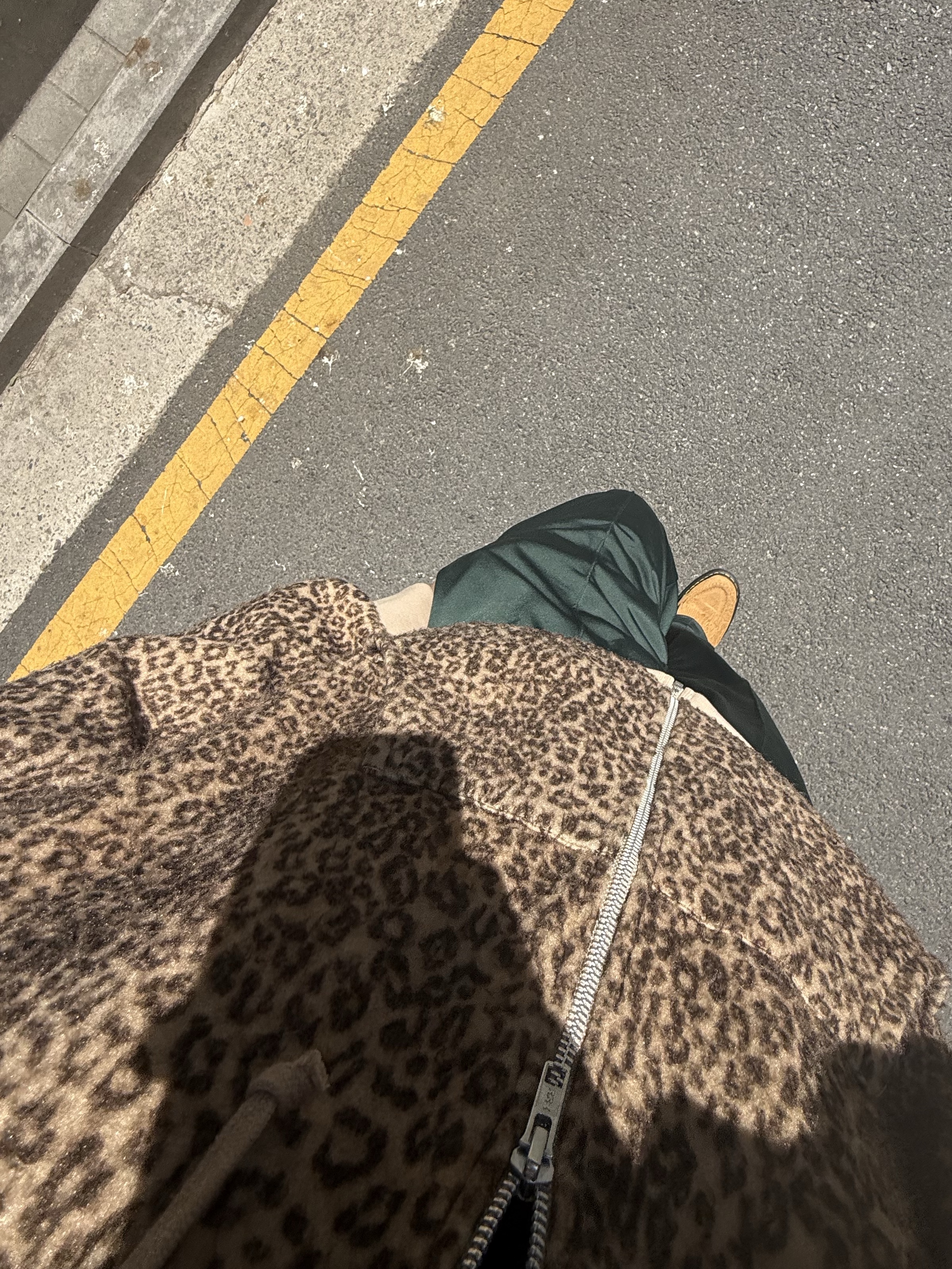 Supreme Pilled Zip Up Hooded Sweatshirt Cheetah - 24FW 착용 스타일 - 2