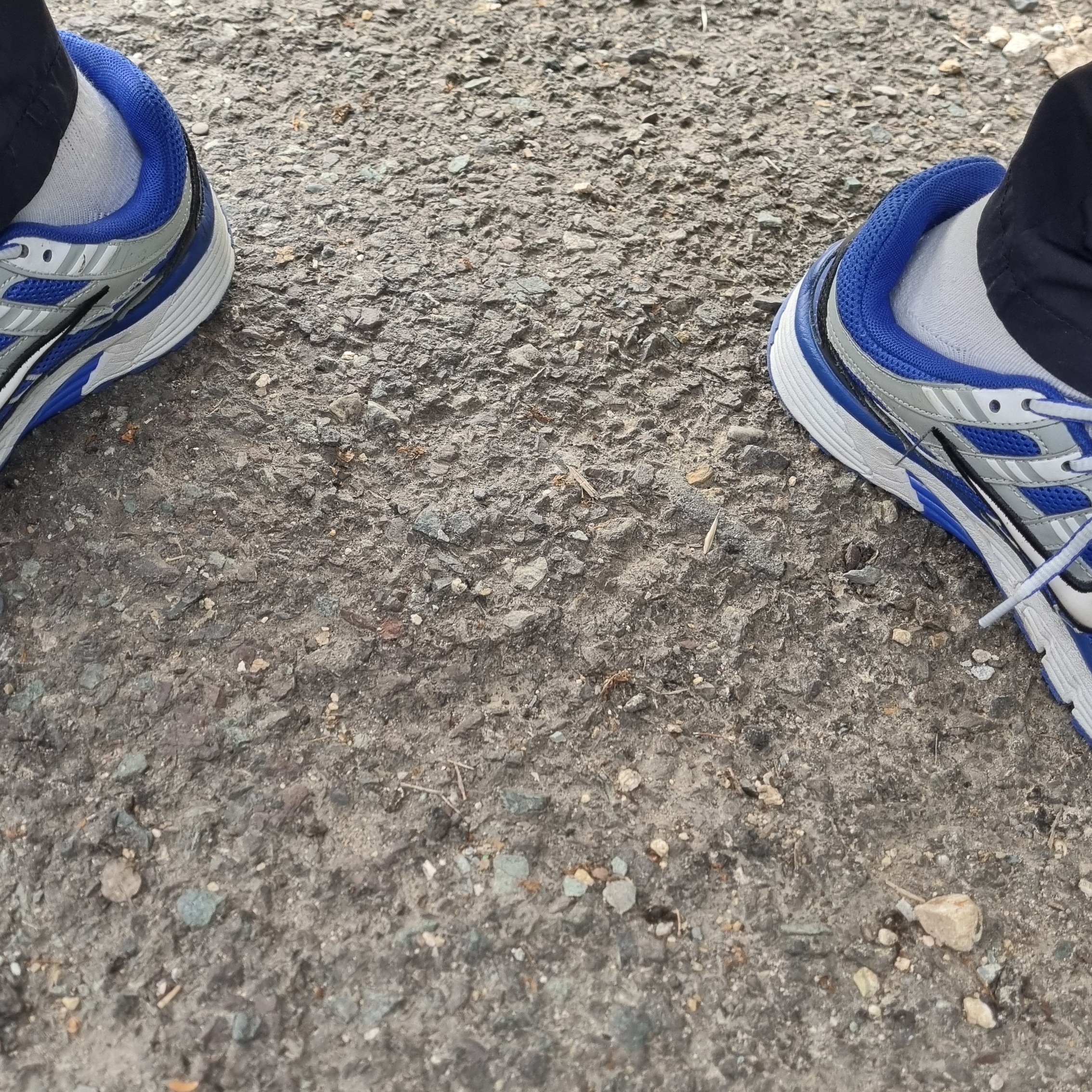 Nike P-6000 Racer Blue White 착용 스타일