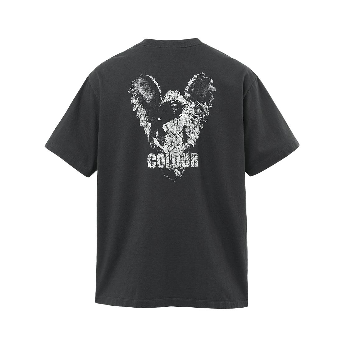 본바트 백 그리픽 워시드 숏 슬리브 차콜