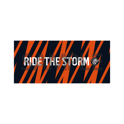 FHWGCH04002 Hanwha Eagles 25 Slogan Towel