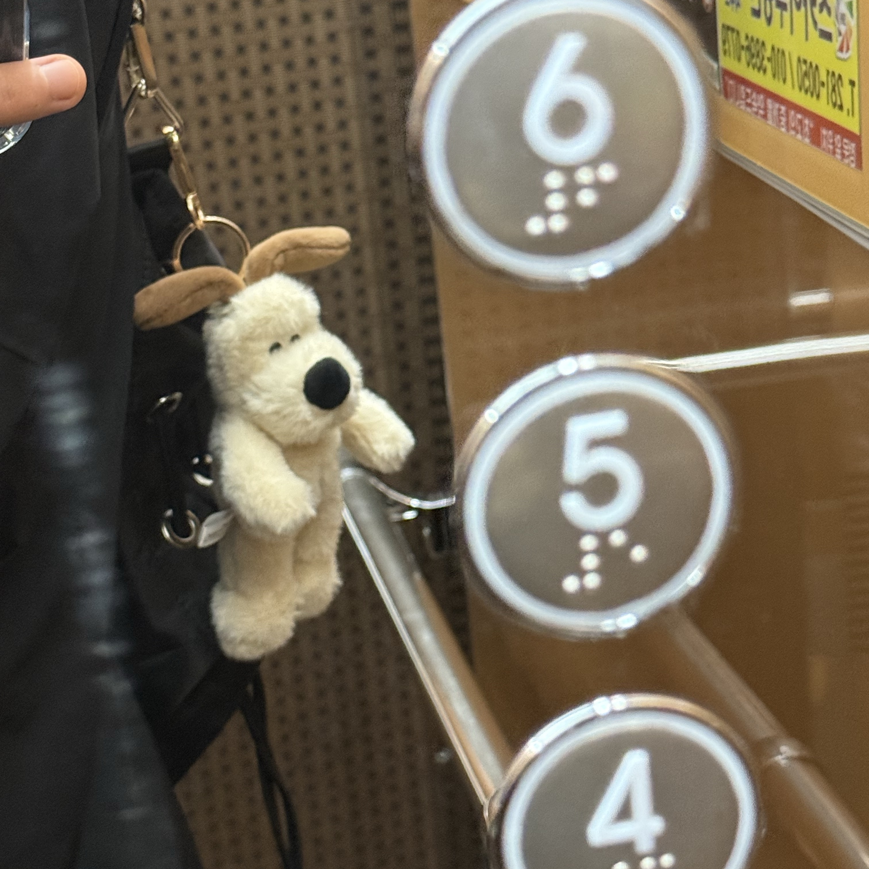 Dream C&C Wallace & Gromit Keyring Plush 16cm 착용 스타일
