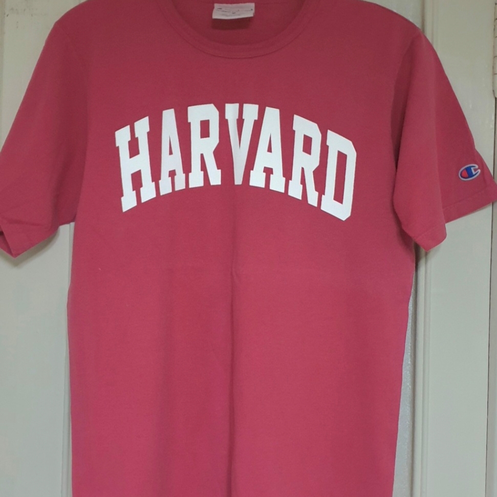 Stussy Champion T-Shirt Coral 착용 스타일