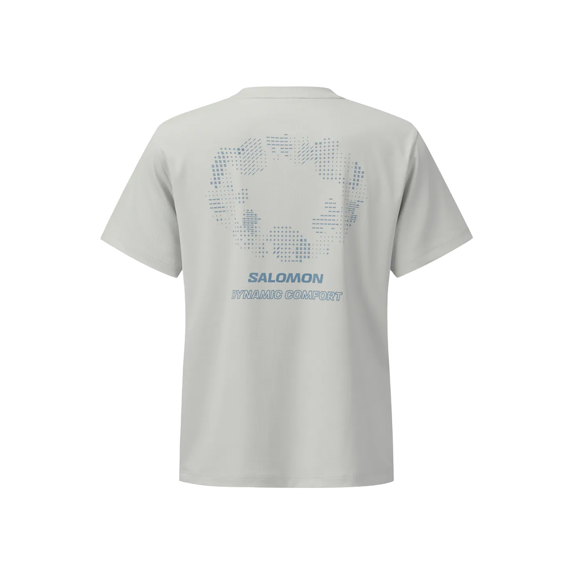 LC2864600 (W) Salomon Dynamic Circle T-Shirts Light Grey