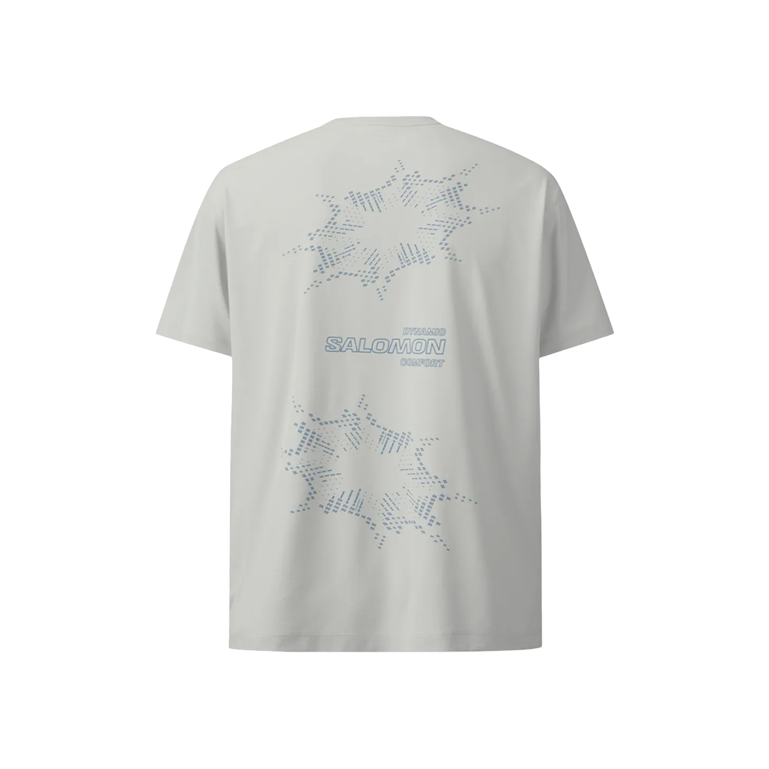 LC2862600 Salomon Dynamic Circle T-Shirts Light Grey