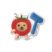 [EARPEARP X KIMS FRUITS] No Story Uploading Without Reading DMs MagSafe Acrylic Smart tok