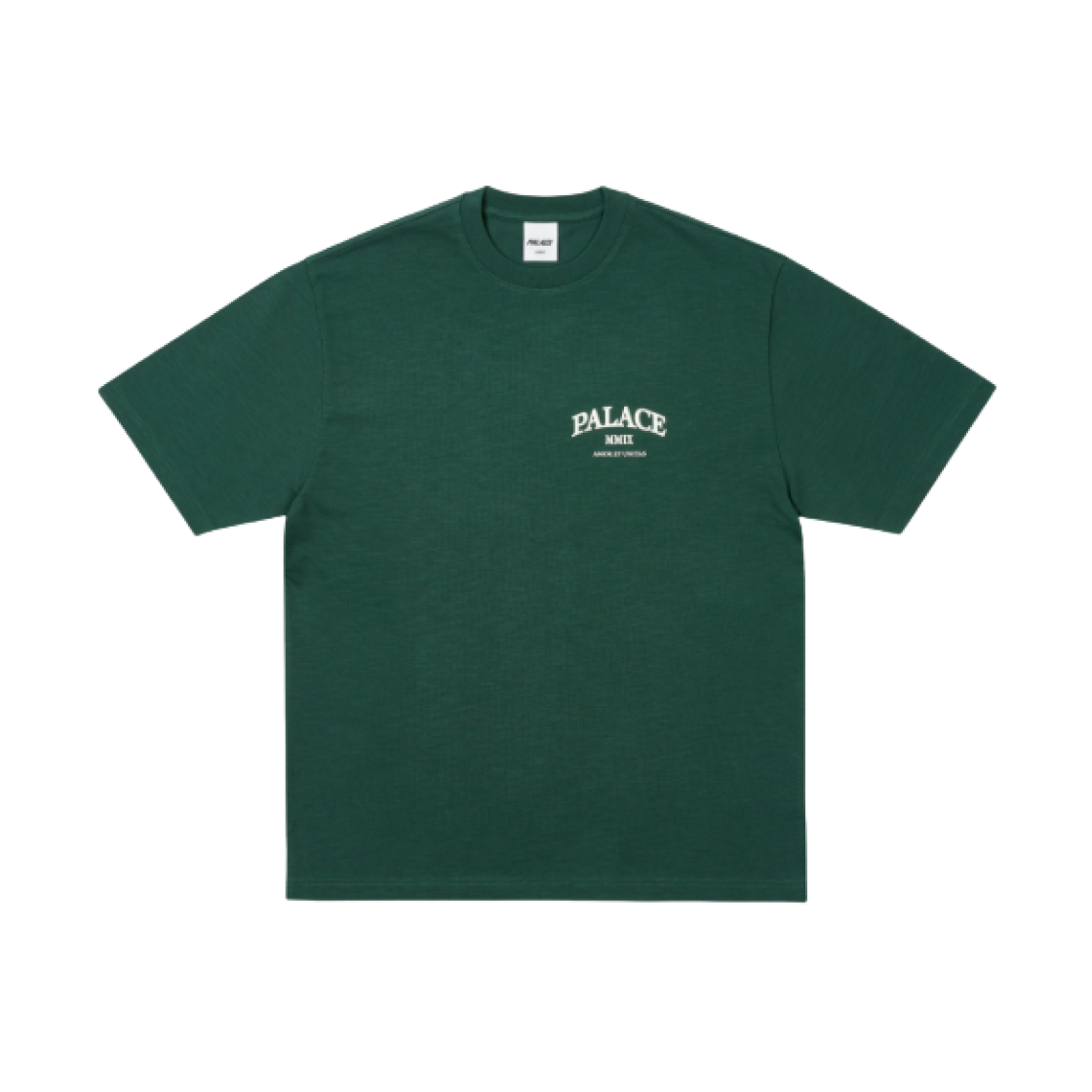 팔라스 유니타스 슬럽 티셔츠 레이시 그린 - 25SS(Palace Unitas Slub T-Shirt Racey Green - 25SS) - 2