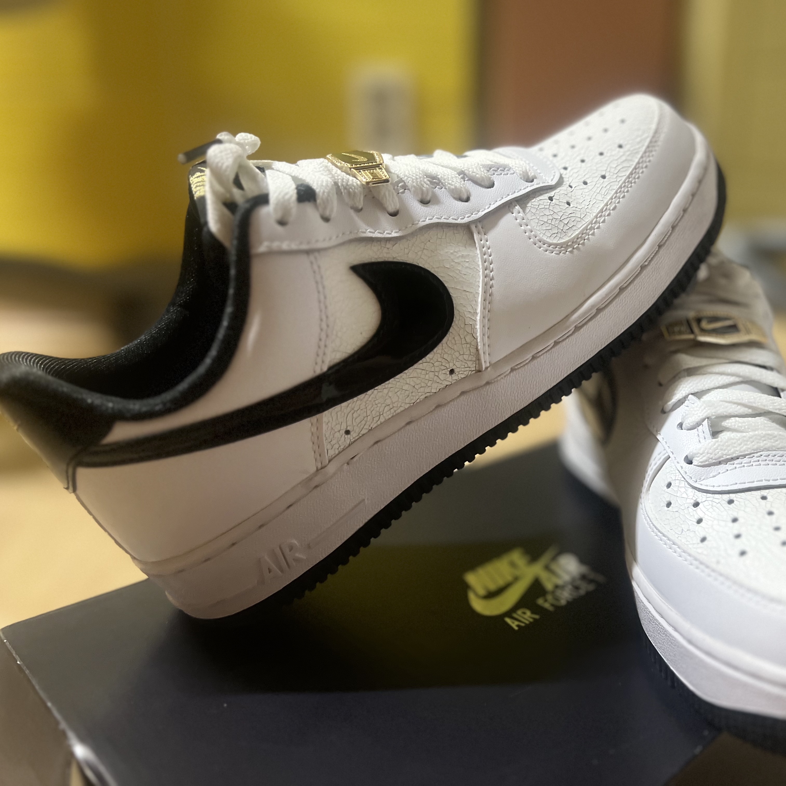 Nike Air Force 1 '07 LV8 EMB World Champions White Black 착용 스타일