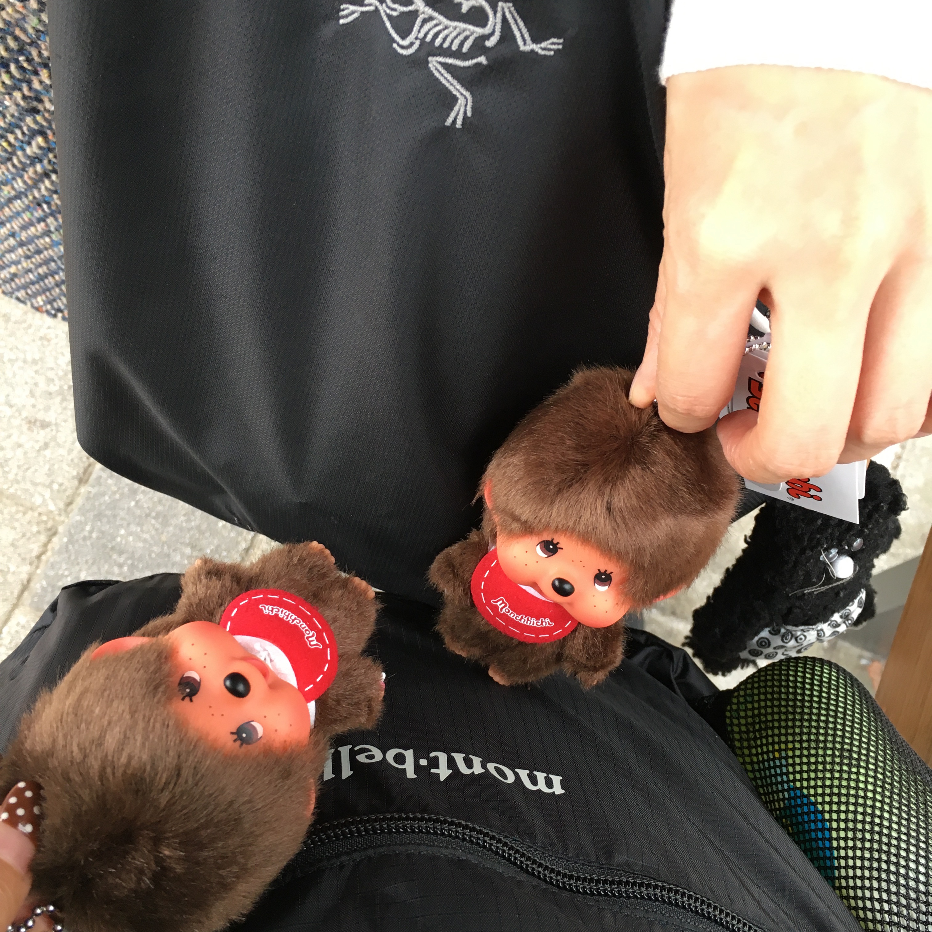 Monchhichi SS Boy Key Chain Brown, Arc'teryx Heliad 15 Backpack Black 착용 스타일