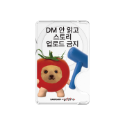 [EARPEARP X KIMS FRUITS] No Story Uploading Without Reading DMs MagSafe Card Wallet