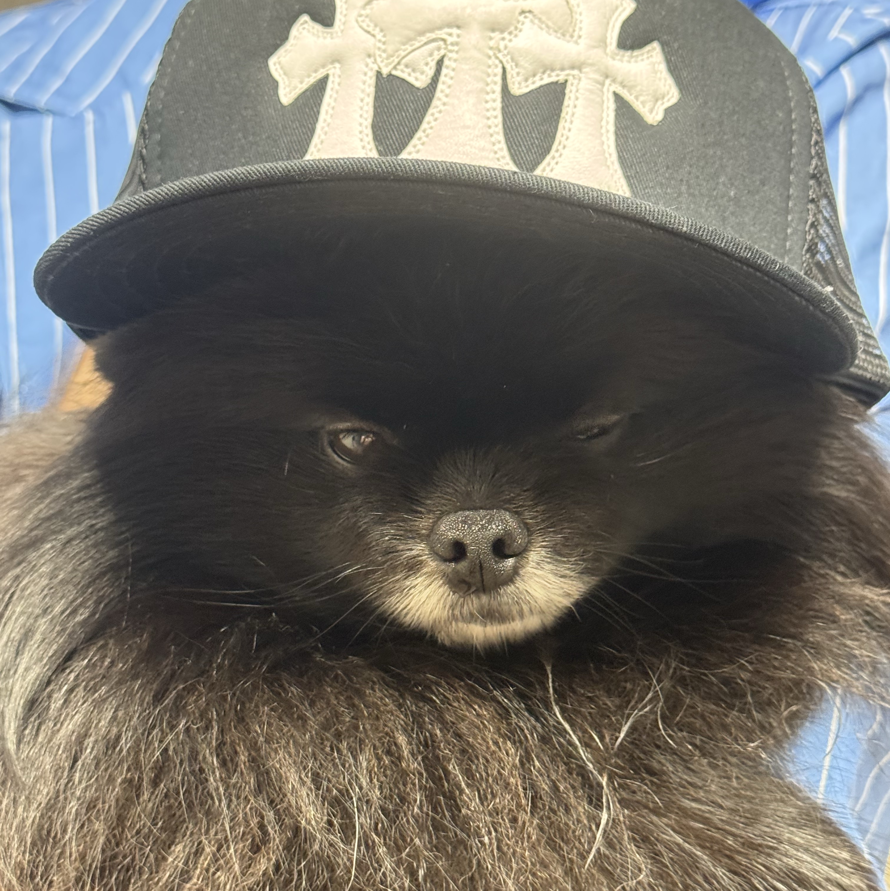 Chrome Hearts Cemetery Trucker Hat Black 착용 스타일