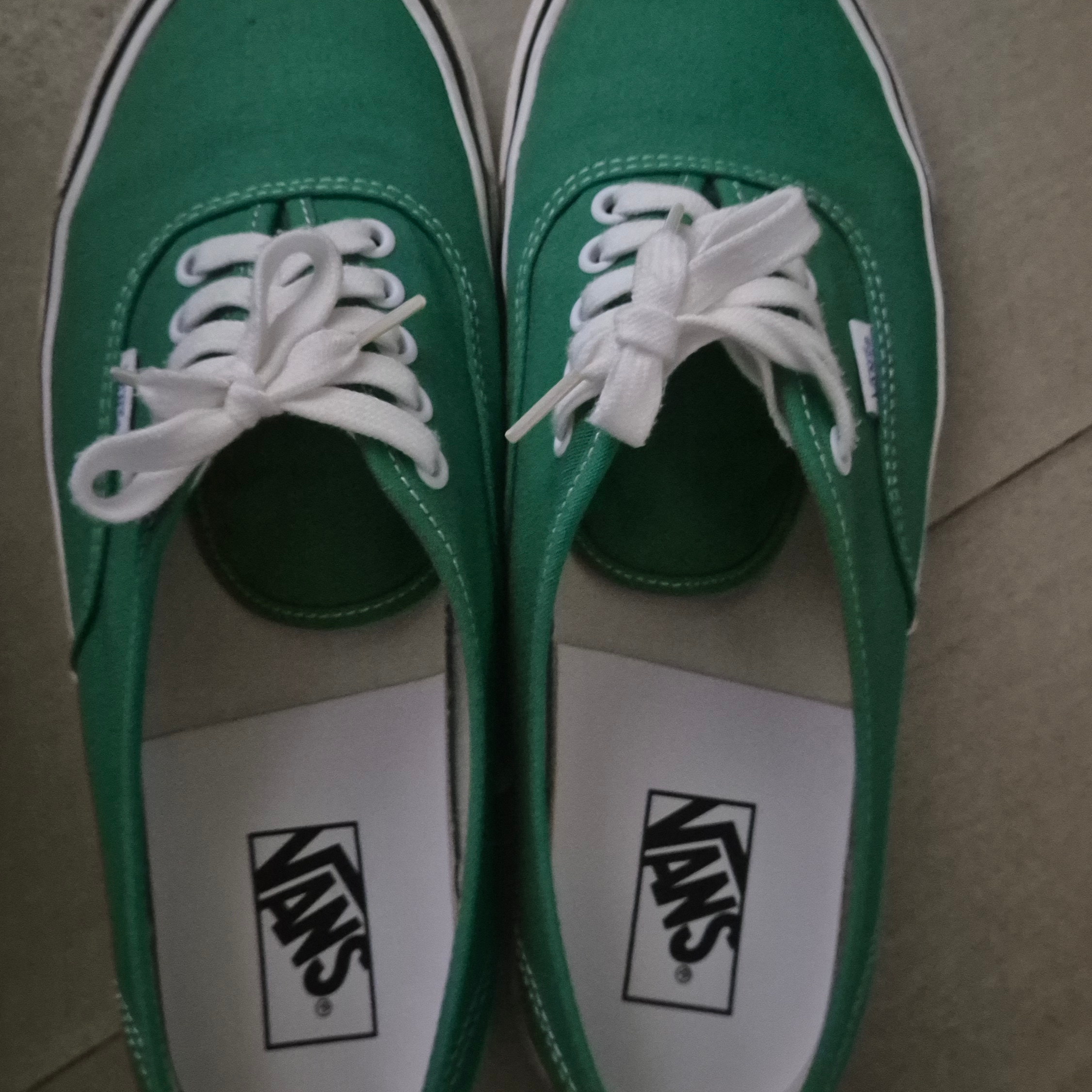 Vans Authentic 44 DX Anaheim Factory Emerald Green 착용 스타일
