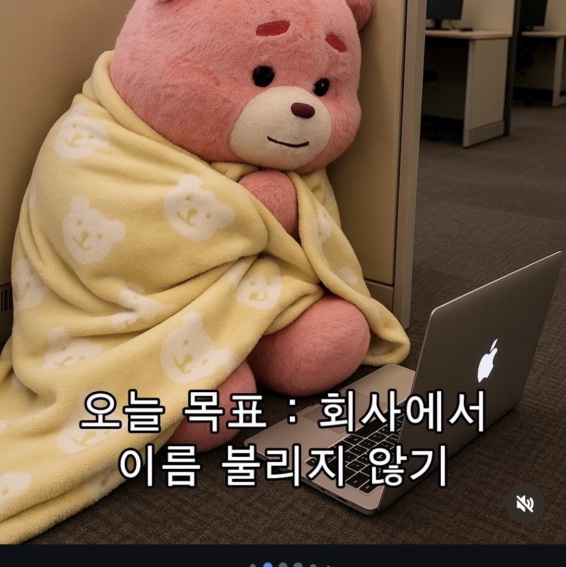 spao202님의 스타일