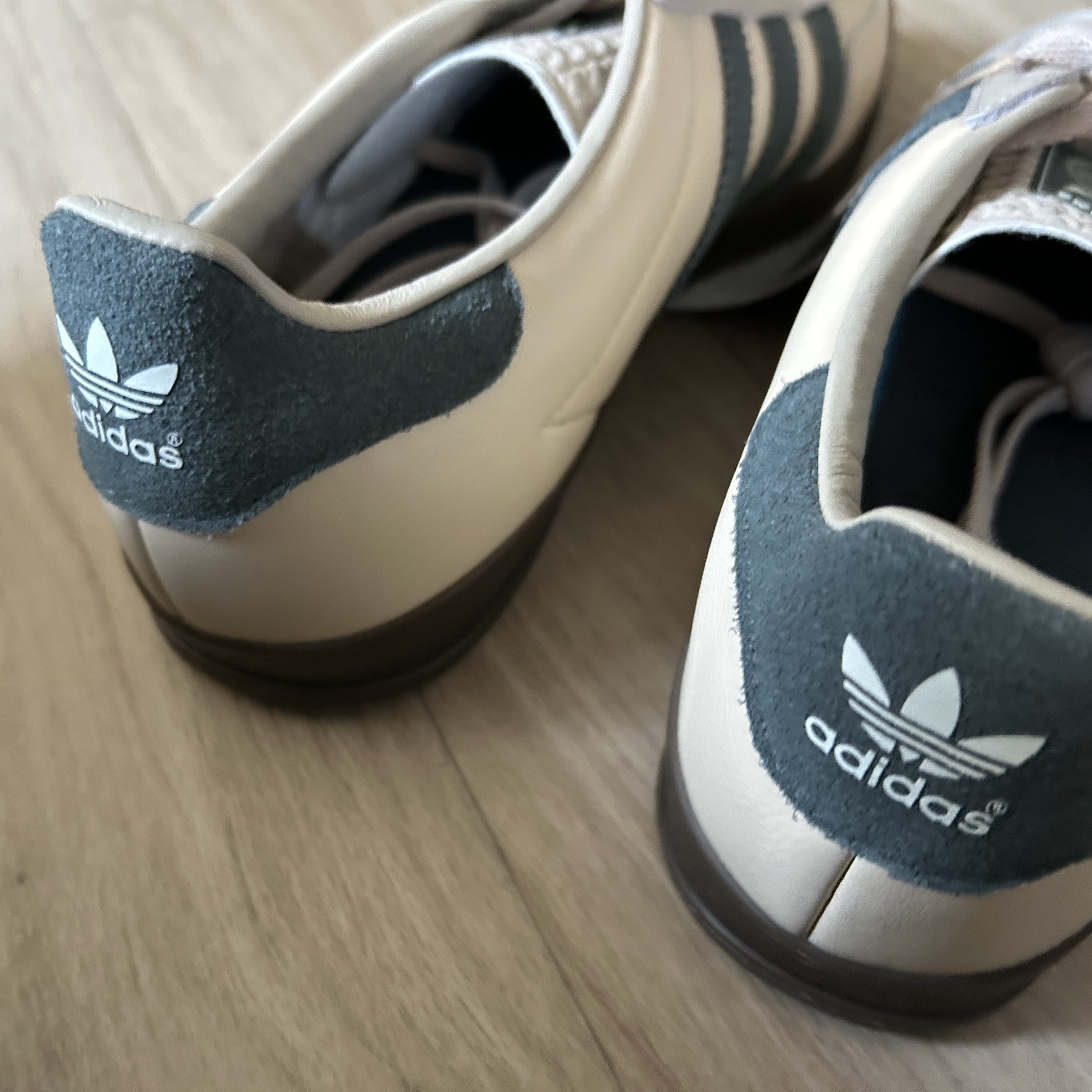 Adidas Gazelle Indoor Sand Strata Legend Ivy 착용 스타일