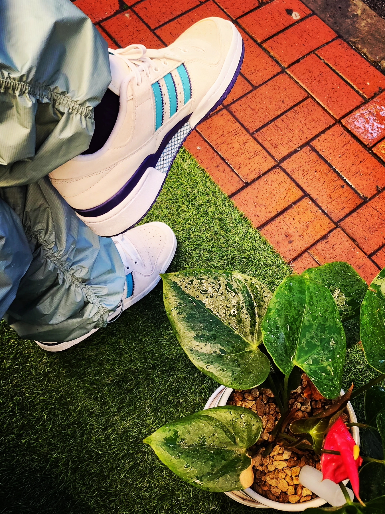 Supreme Box Logo Mesh Back New Era Blue - 23SS, Adidas Adicolor 3D Trefoil 3-Stripes Track Jacket Black - KR Sizing 착용 스타일 - 3