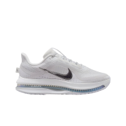 (W) Nike Pegasus Premium White Metallic Silver