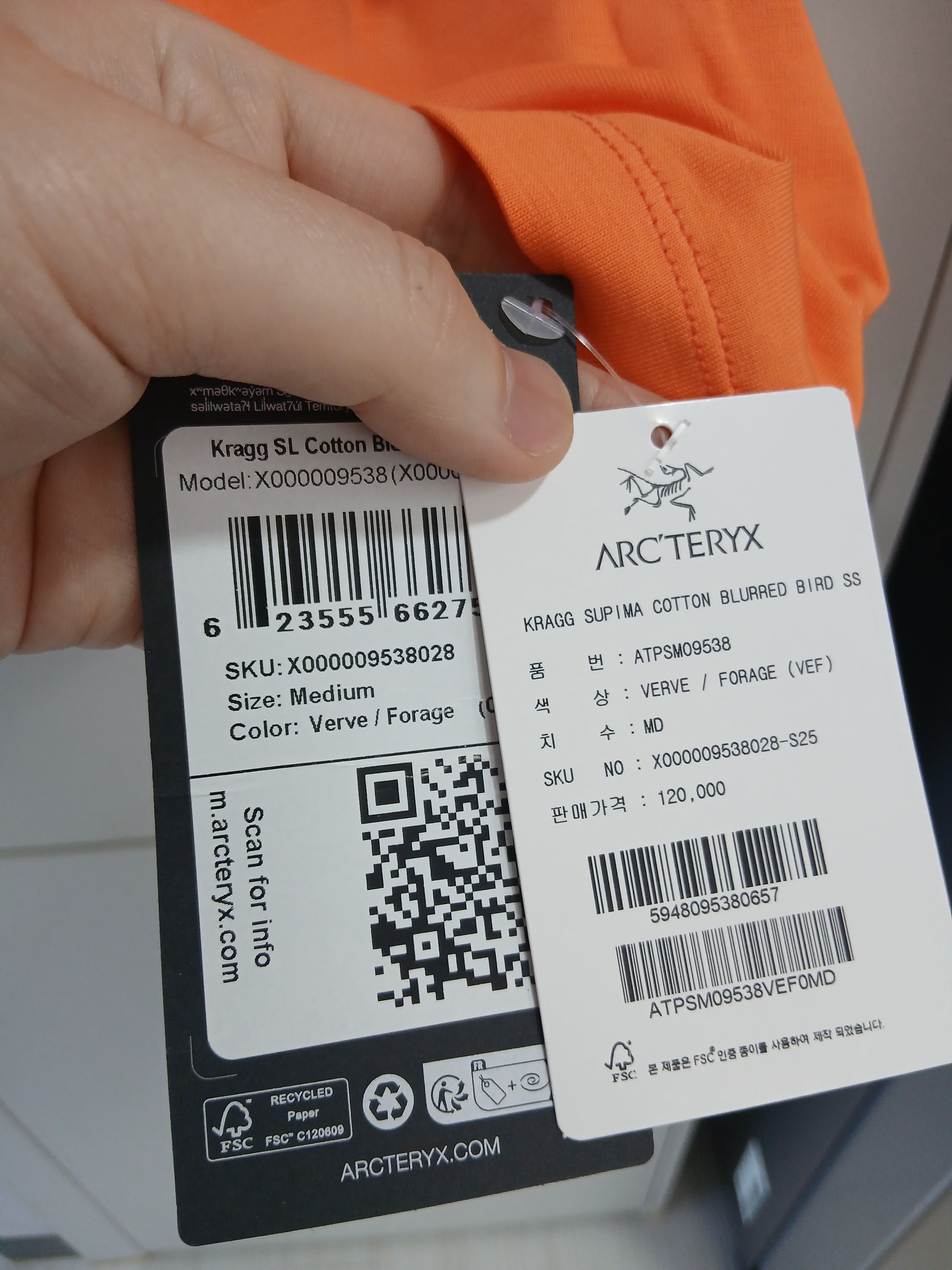 Arc'teryx Kragg SL Cotton Blurred Bird SS T-Shirt Verve Forage 착용 스타일 - 3