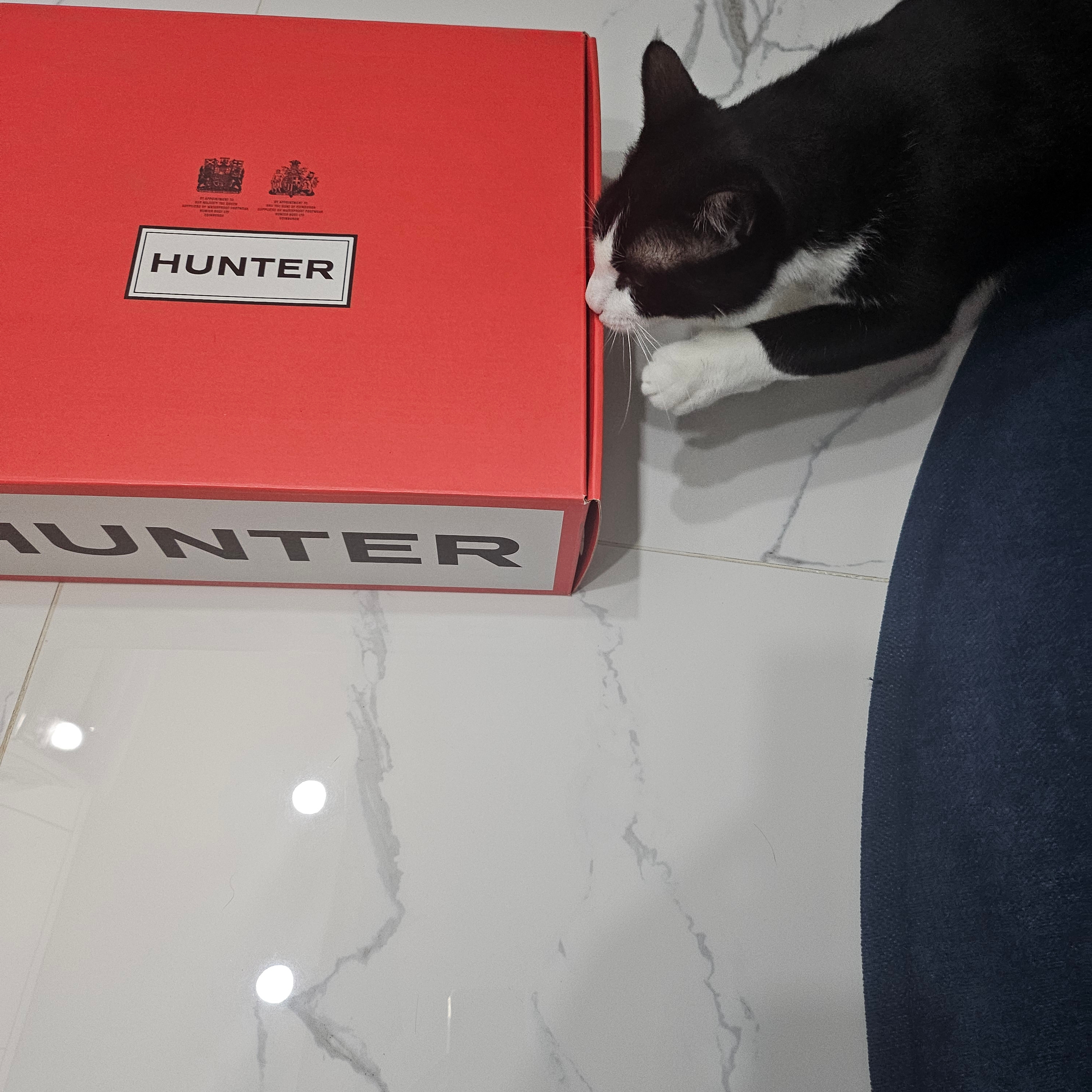 (W) Hunter Play Short Rain Boots Black 착용 스타일 - 1
