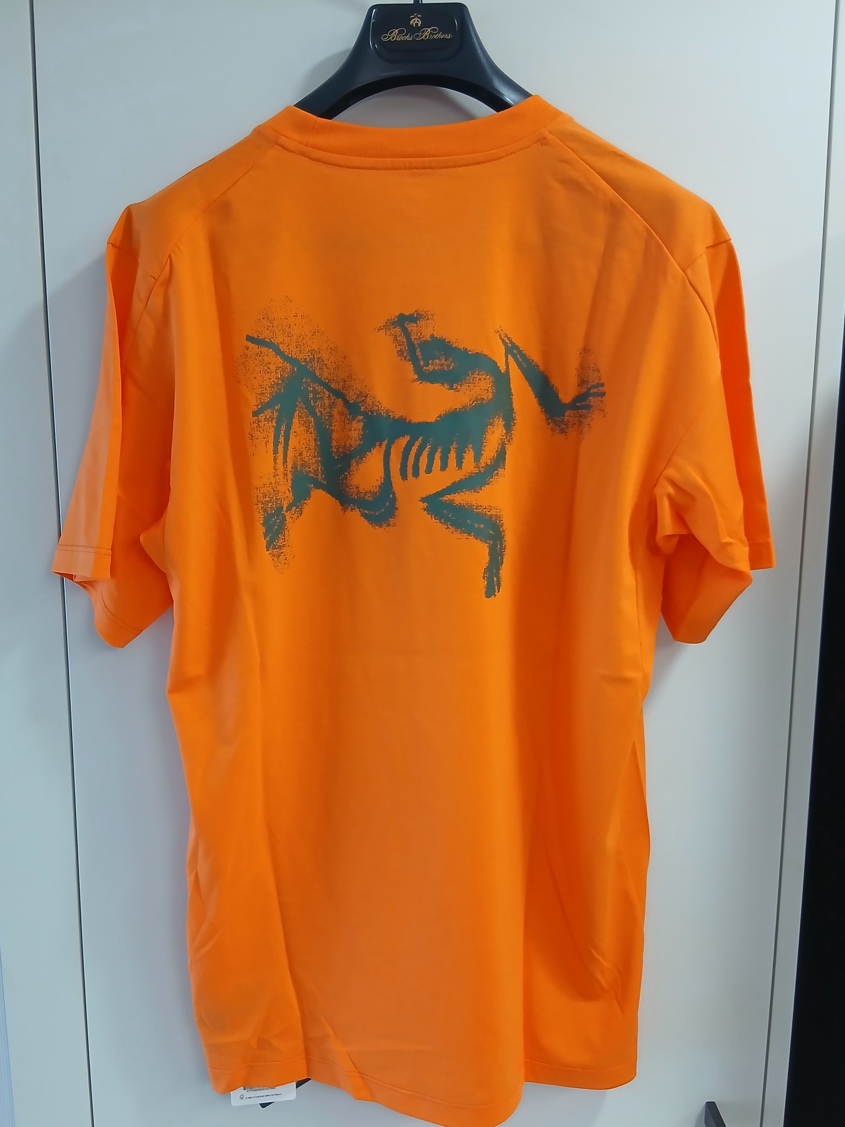 Arc'teryx Kragg SL Cotton Blurred Bird SS T-Shirt Verve Forage 착용 스타일 - 1