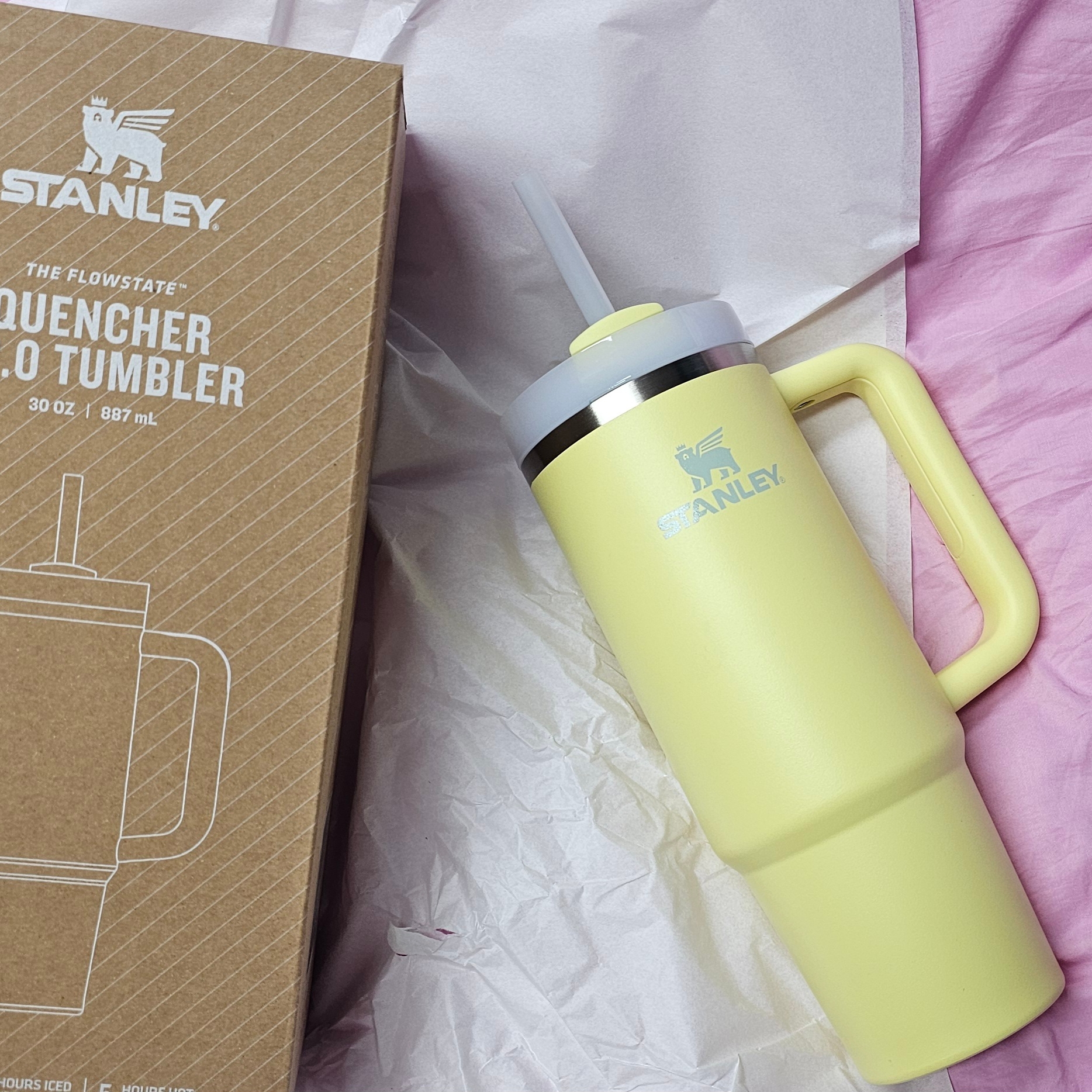 Stanley The Quencher H2.0 FlowState Tumbler 887ml Pomelo 착용 스타일