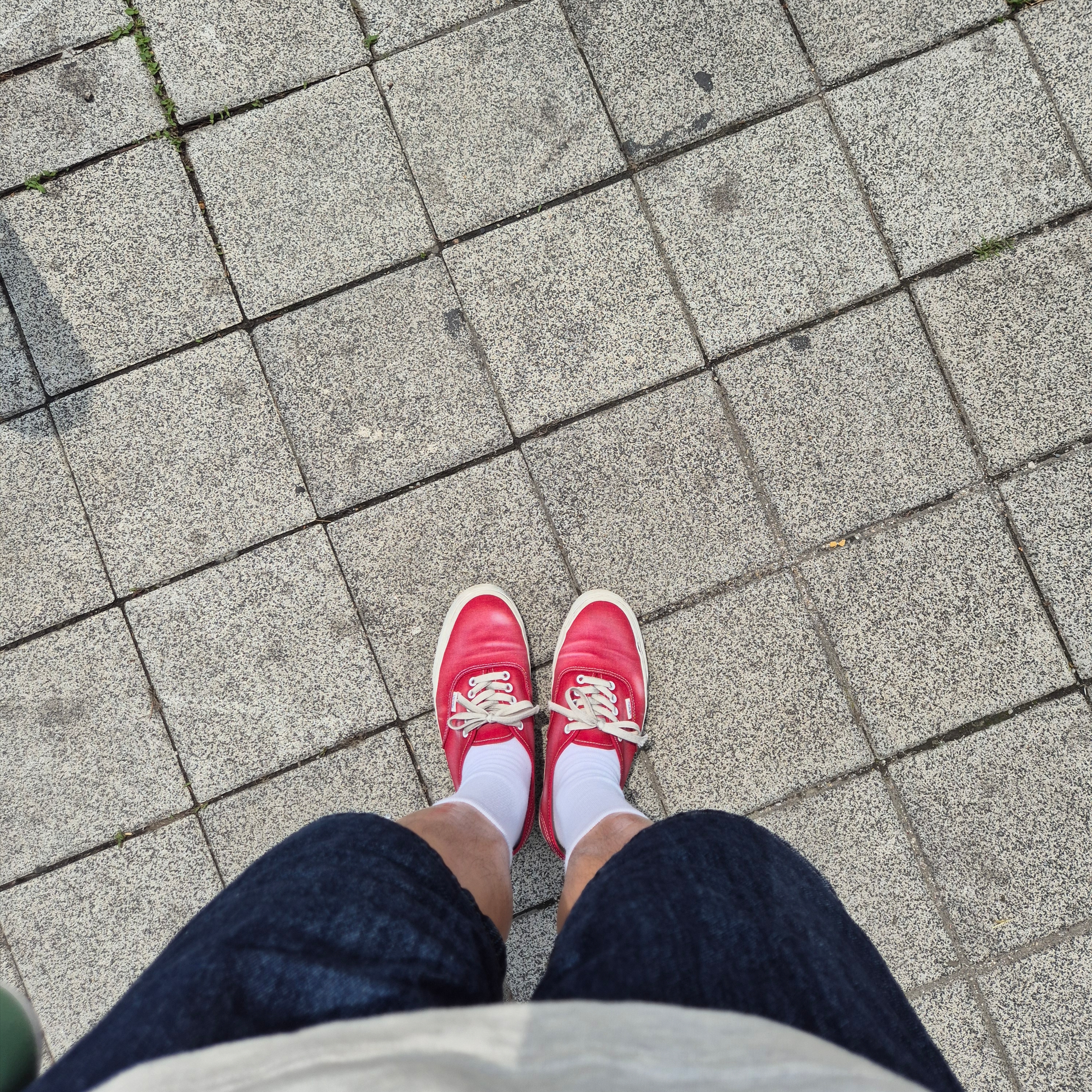 Vans Authentic Wave Washed Red 착용 스타일