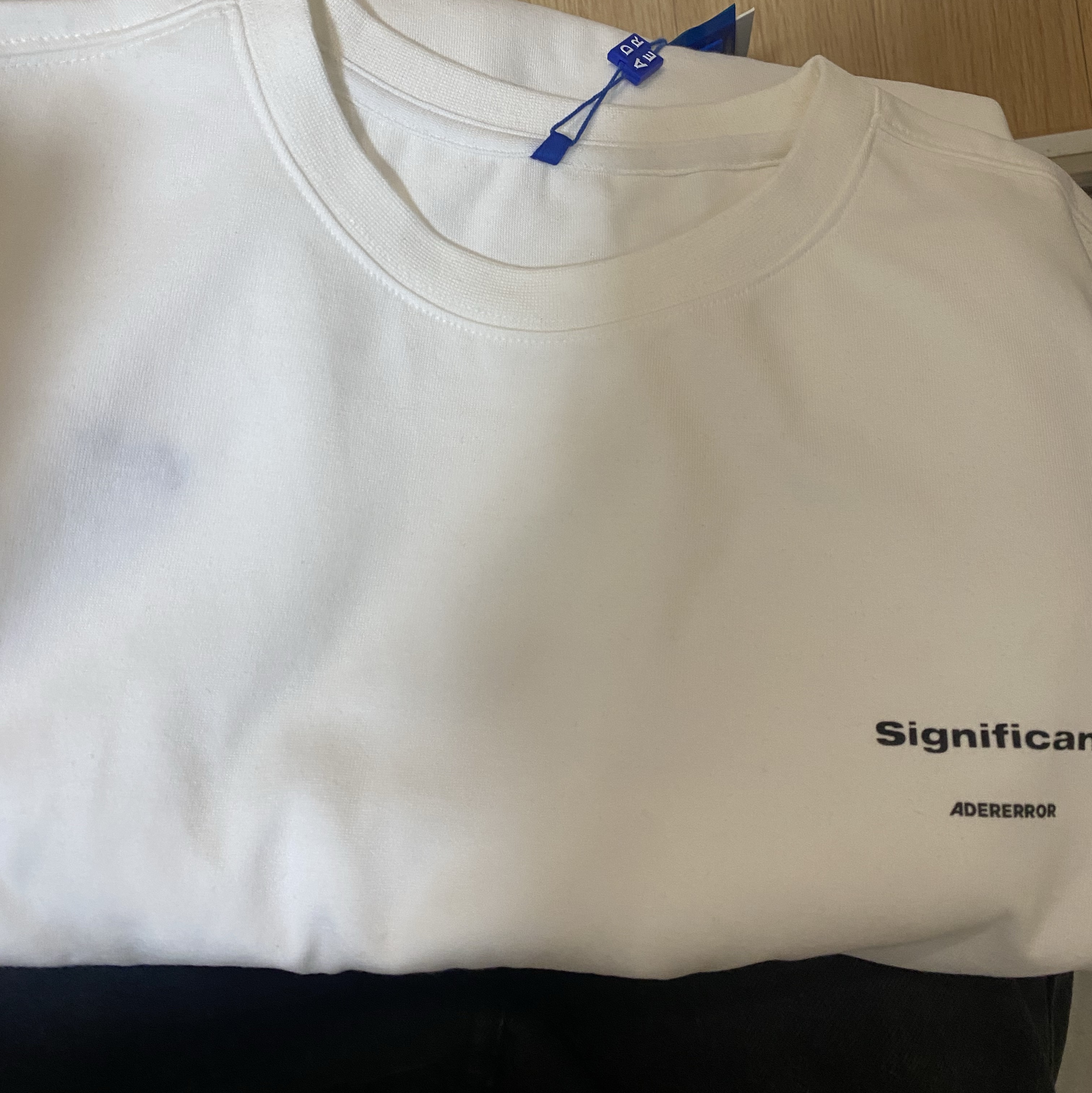 Ader Error Significant Tag T-Shirt 01 Off White 착용 스타일