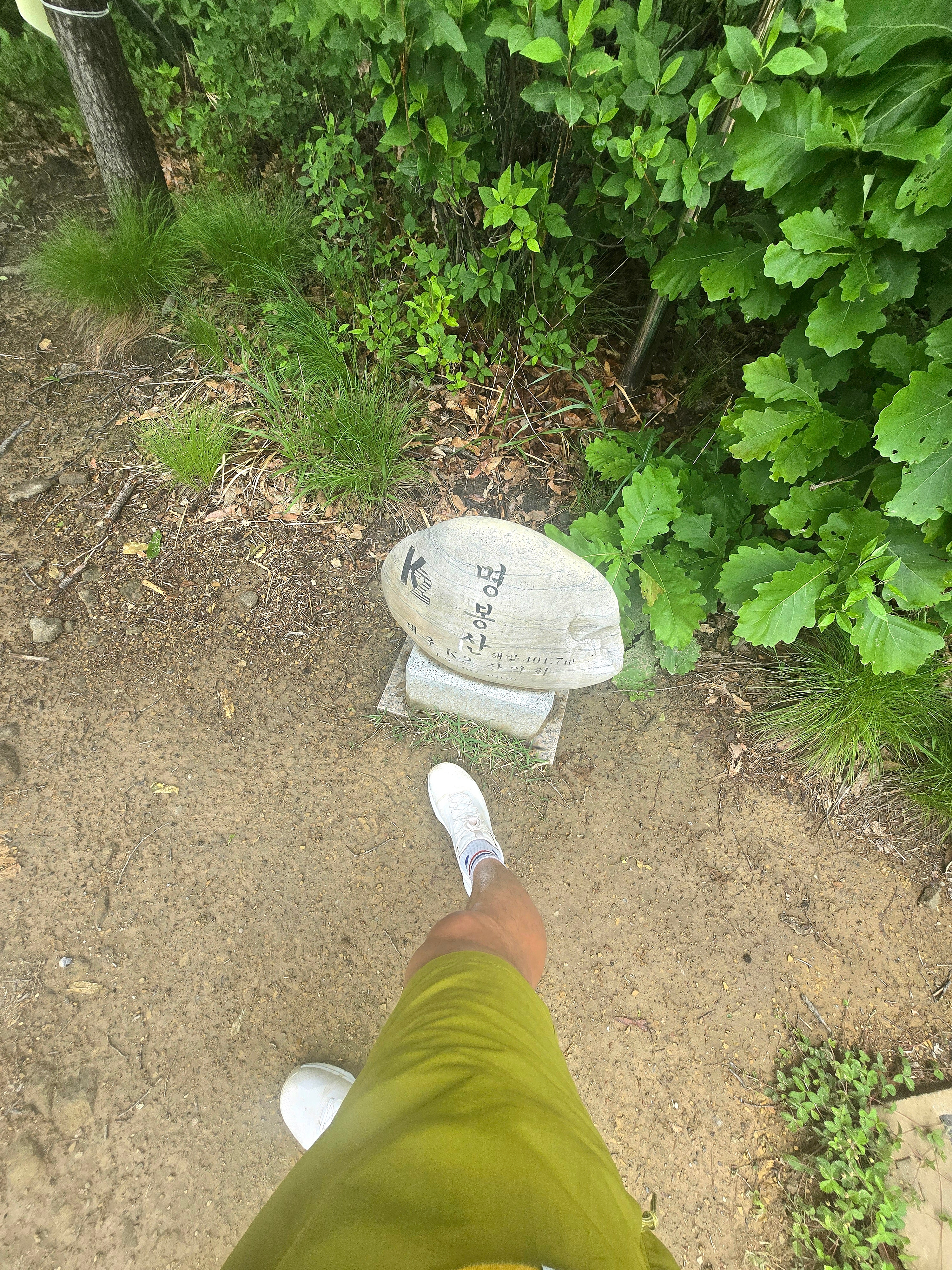 Nike React Pegasus Trail 4 Gore-Tex Phantom Light Orewood Brown, Nike NRG ACG Trail Shorts Moss - Asia 착용 스타일