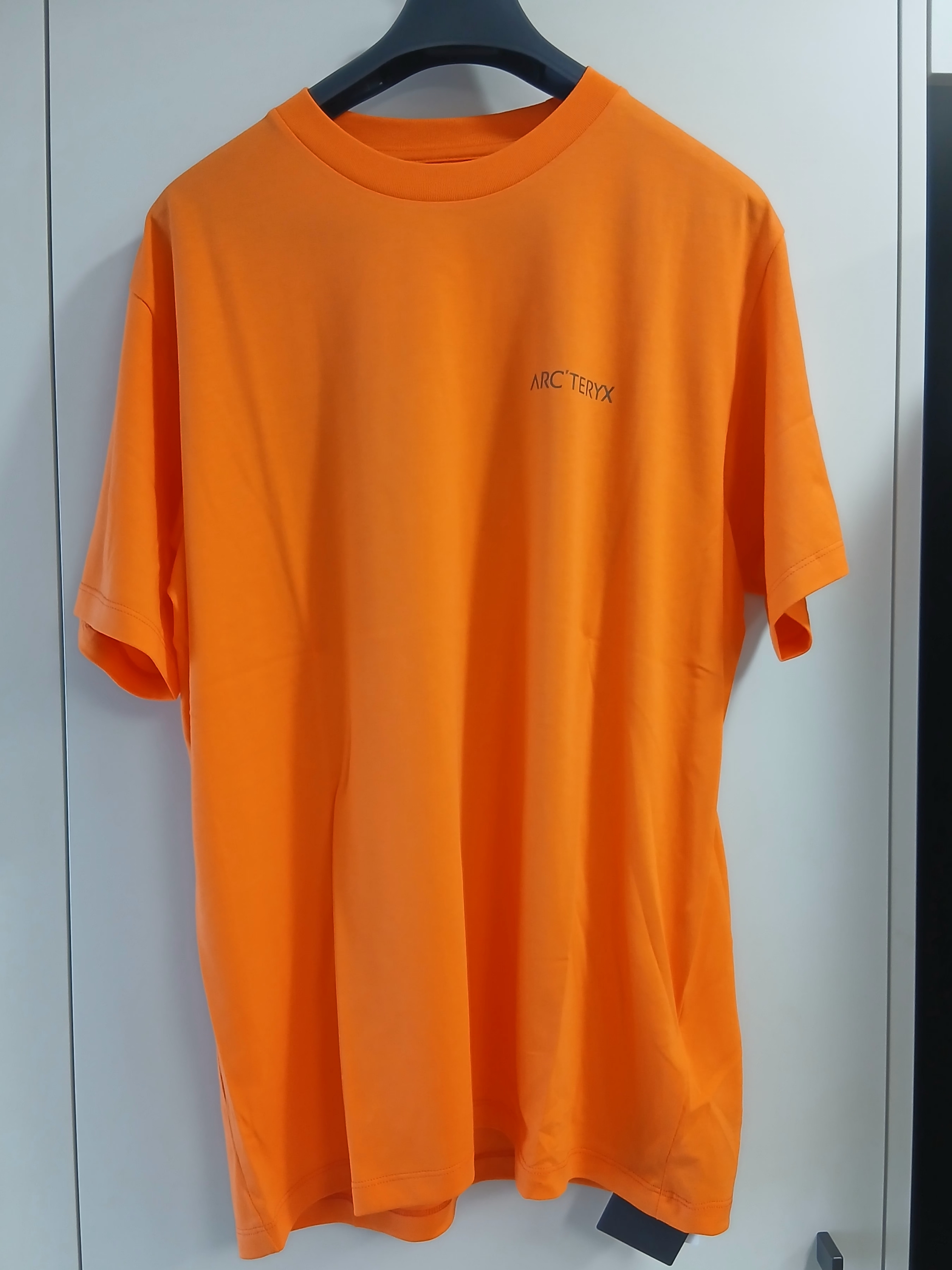 Arc'teryx Kragg SL Cotton Blurred Bird SS T-Shirt Verve Forage 착용 스타일 - 2
