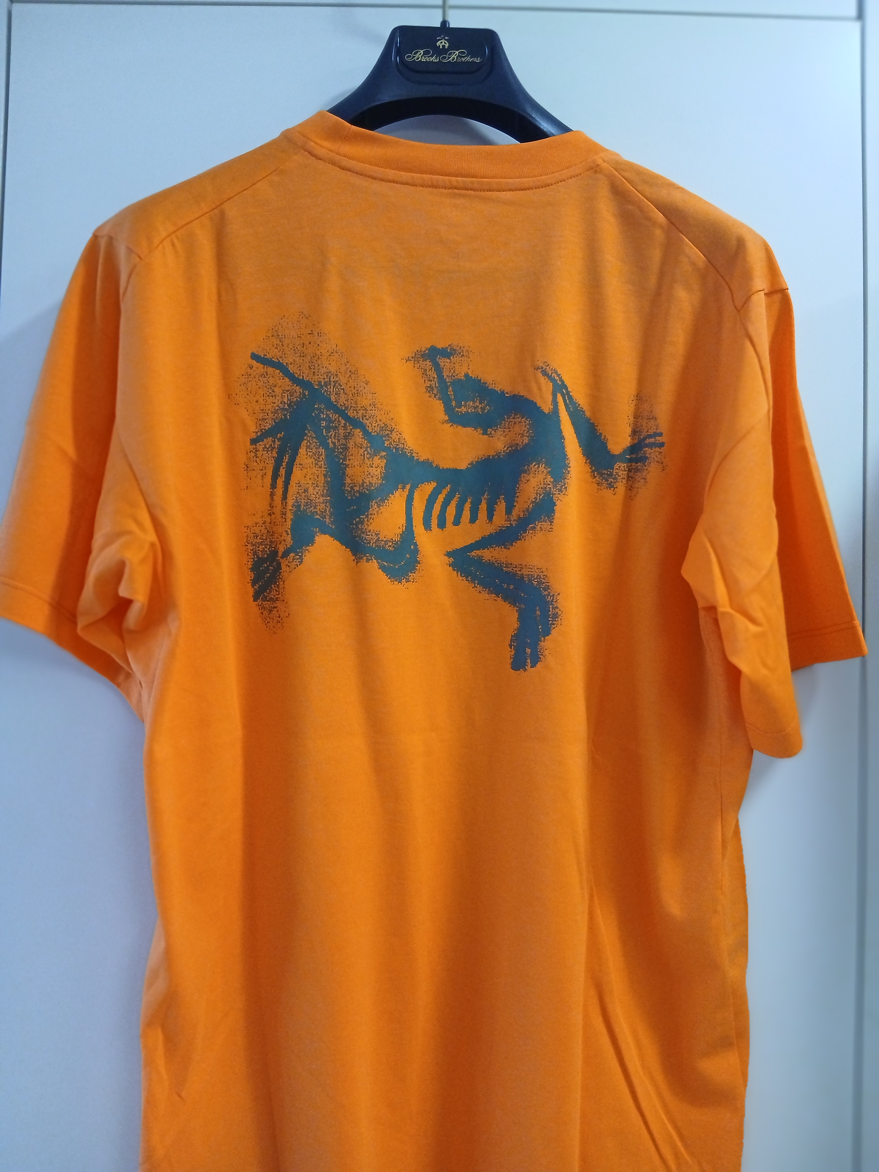 Arc'teryx Kragg SL Cotton Blurred Bird SS T-Shirt Verve Forage 착용 스타일 - 4