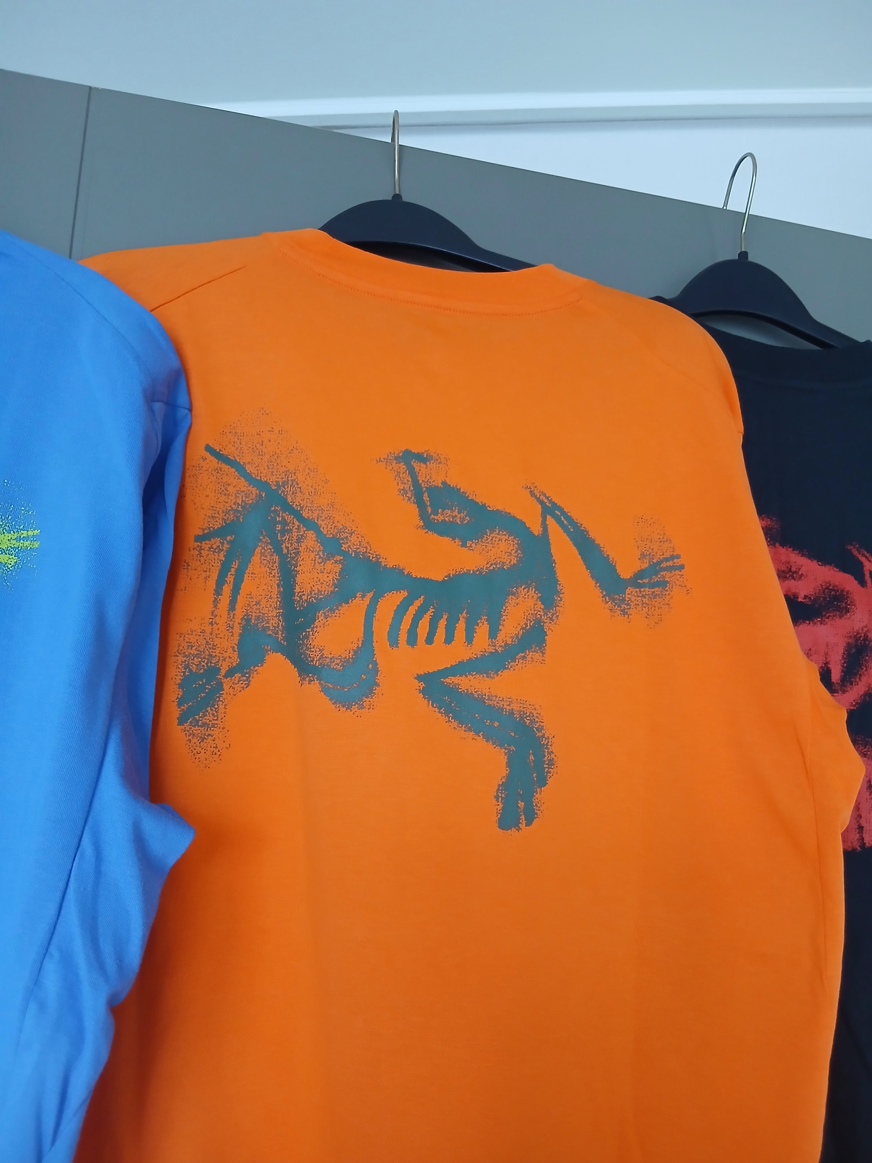 Arc'teryx Kragg SL Cotton Blurred Bird SS T-Shirt Black Dynasty, Arc'teryx Kragg SL Cotton Blurred Bird SS T-Shirt White Light Atmos 착용 스타일 - 5