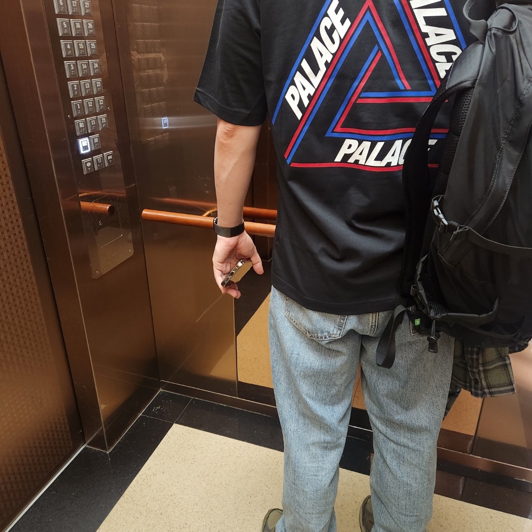 Palace Basically A Tri-Ferg T-Shirt Black - 21SS 착용 스타일