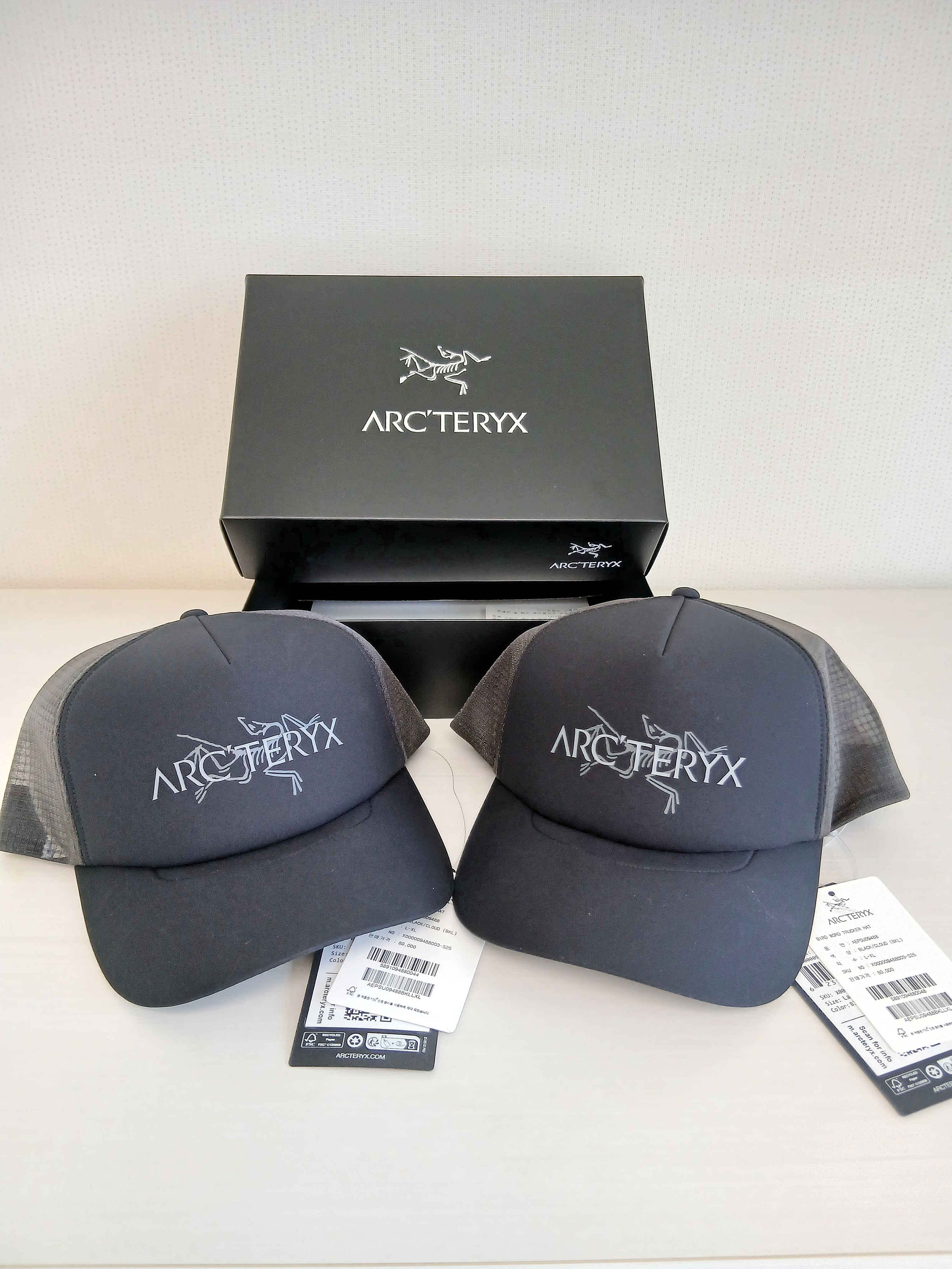Arc'teryx Bird Word Trucker Hat Black Cloud 착용 스타일 - 1