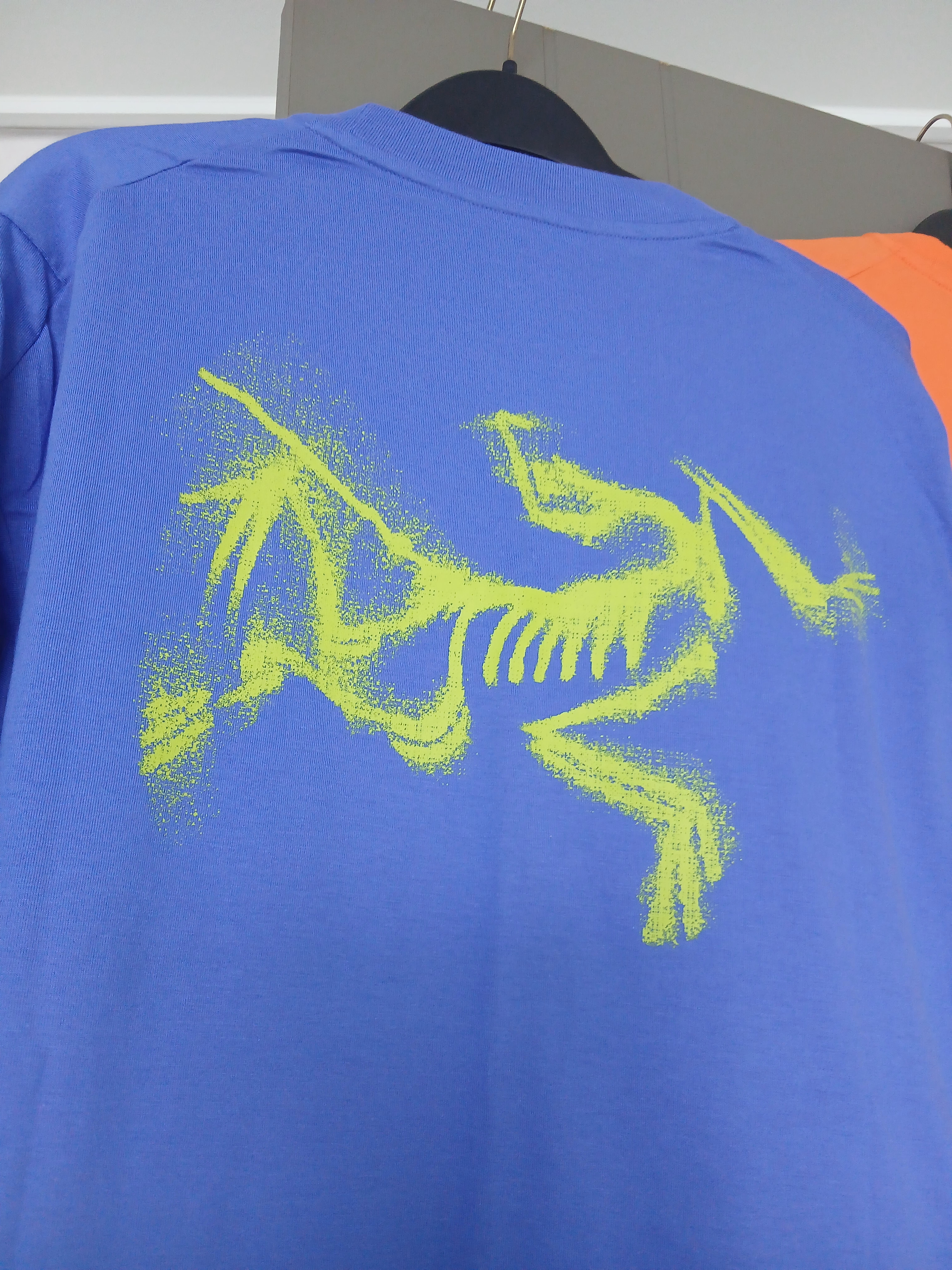 Arc'teryx Kragg SL Cotton Blurred Bird SS T-Shirt Black Dynasty, Arc'teryx Kragg SL Cotton Blurred Bird SS T-Shirt White Light Atmos 착용 스타일 - 4