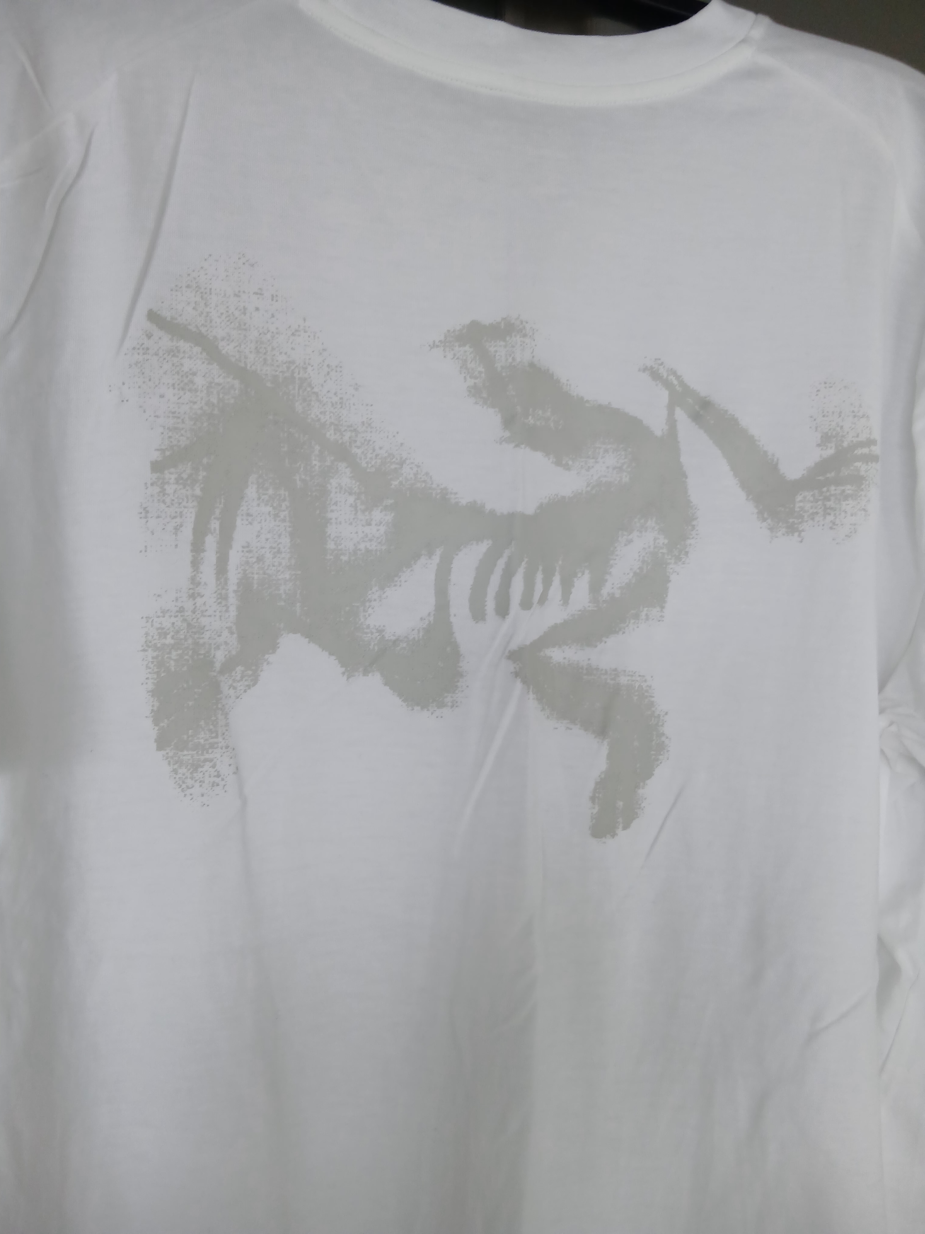 Arc'teryx Kragg SL Cotton Blurred Bird SS T-Shirt Black Dynasty, Arc'teryx Kragg SL Cotton Blurred Bird SS T-Shirt White Light Atmos 착용 스타일 - 3