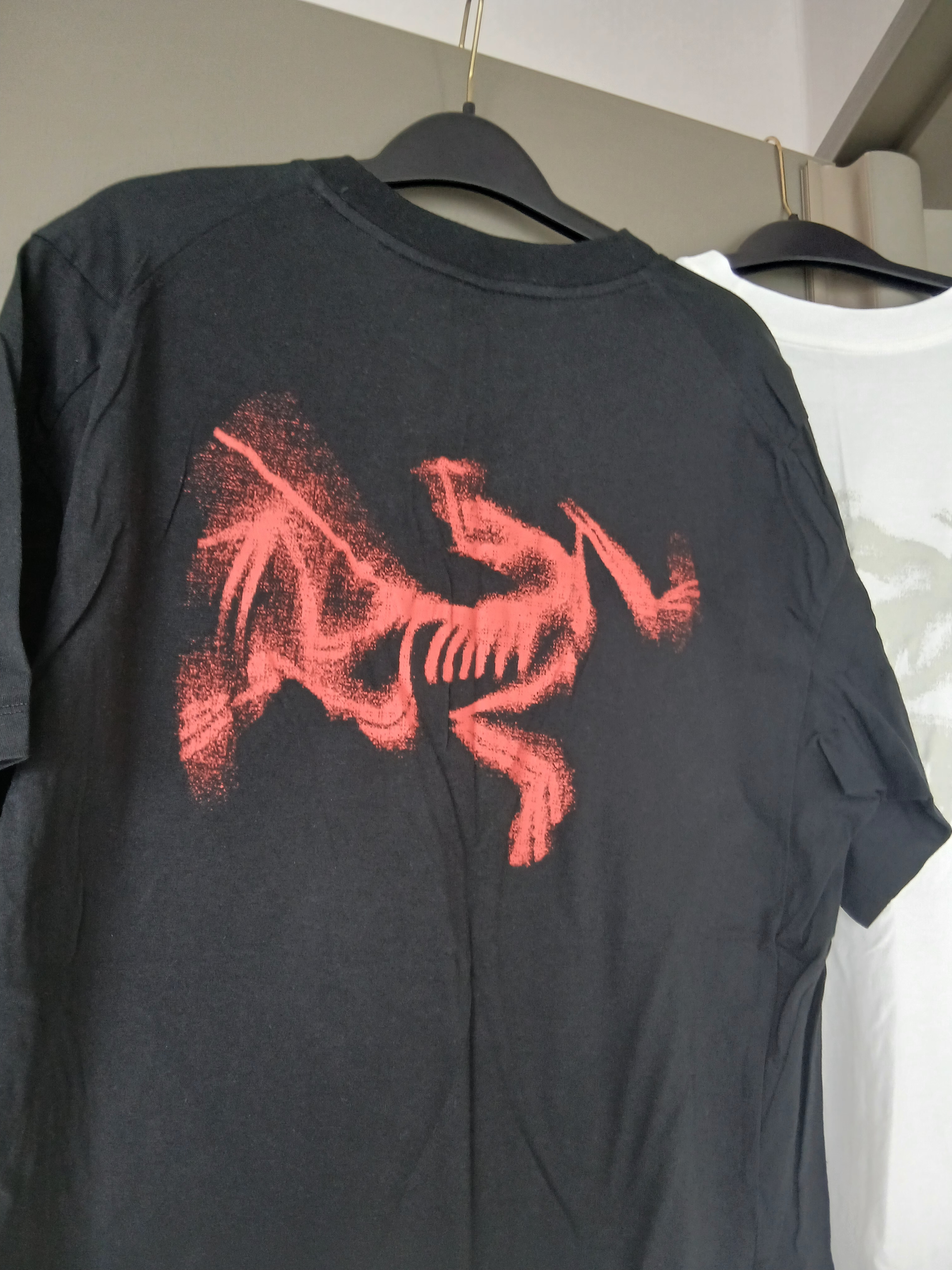 Arc'teryx Kragg SL Cotton Blurred Bird SS T-Shirt Black Dynasty, Arc'teryx Kragg SL Cotton Blurred Bird SS T-Shirt White Light Atmos 착용 스타일 - 6