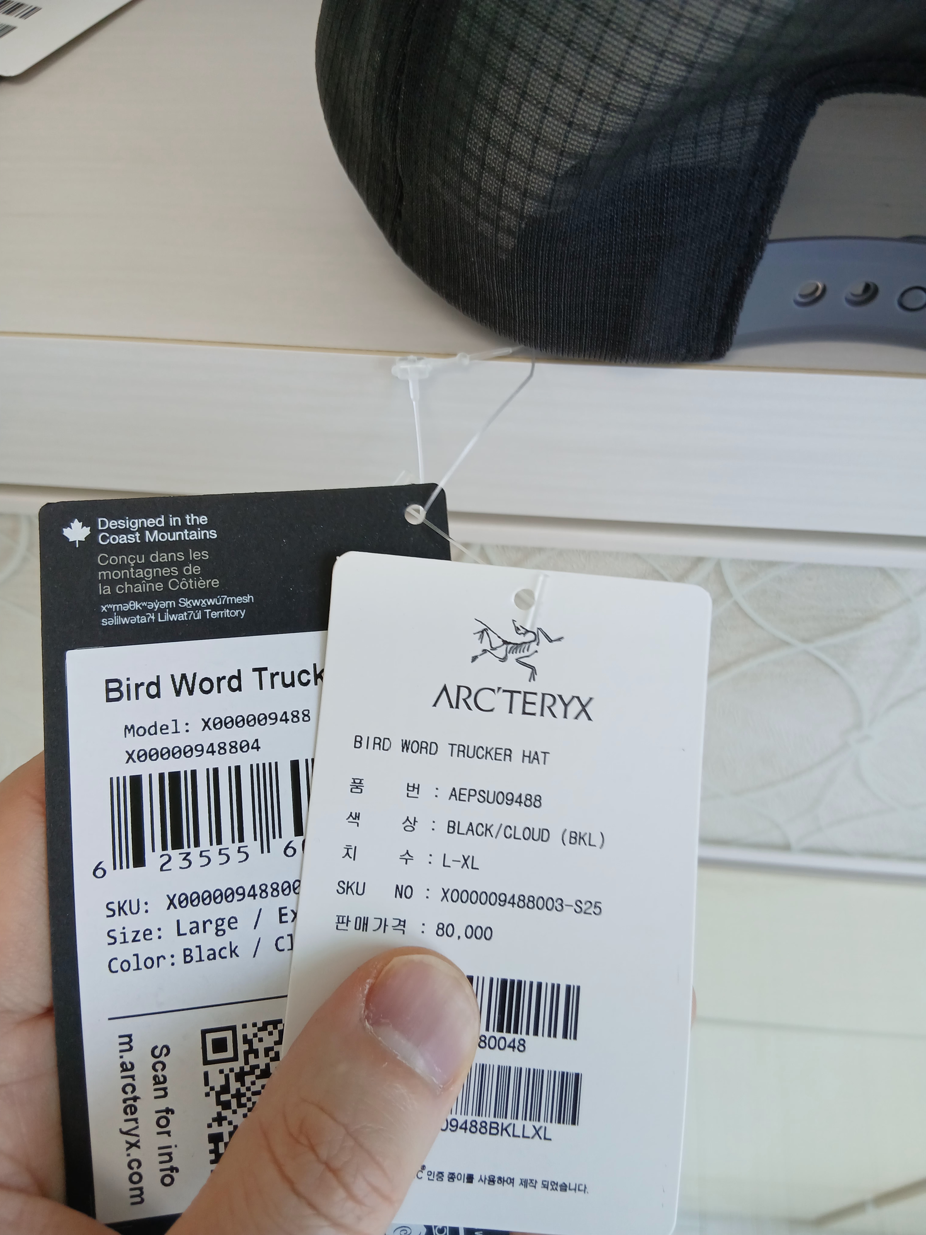 Arc'teryx Bird Word Trucker Hat Black Cloud 착용 스타일 - 3
